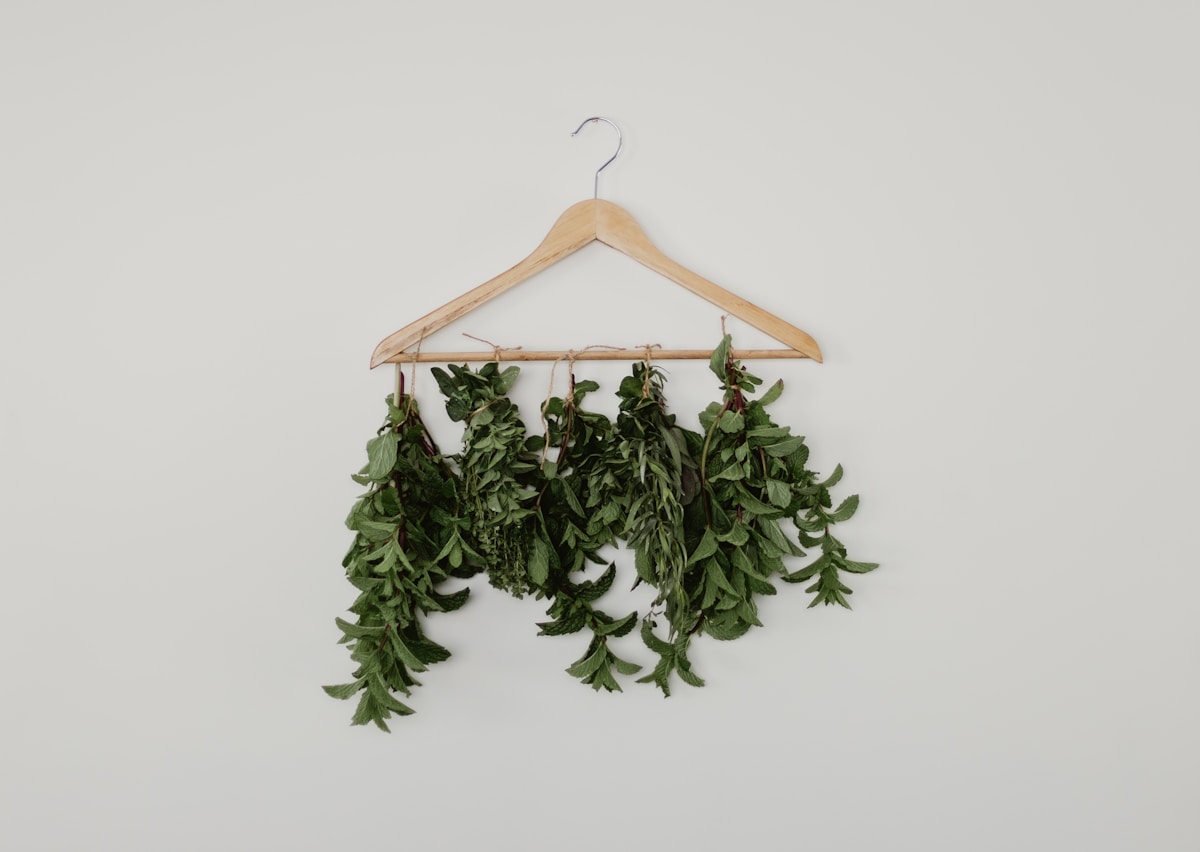 How can my family preserve fresh oregano and thyme before they spoil?