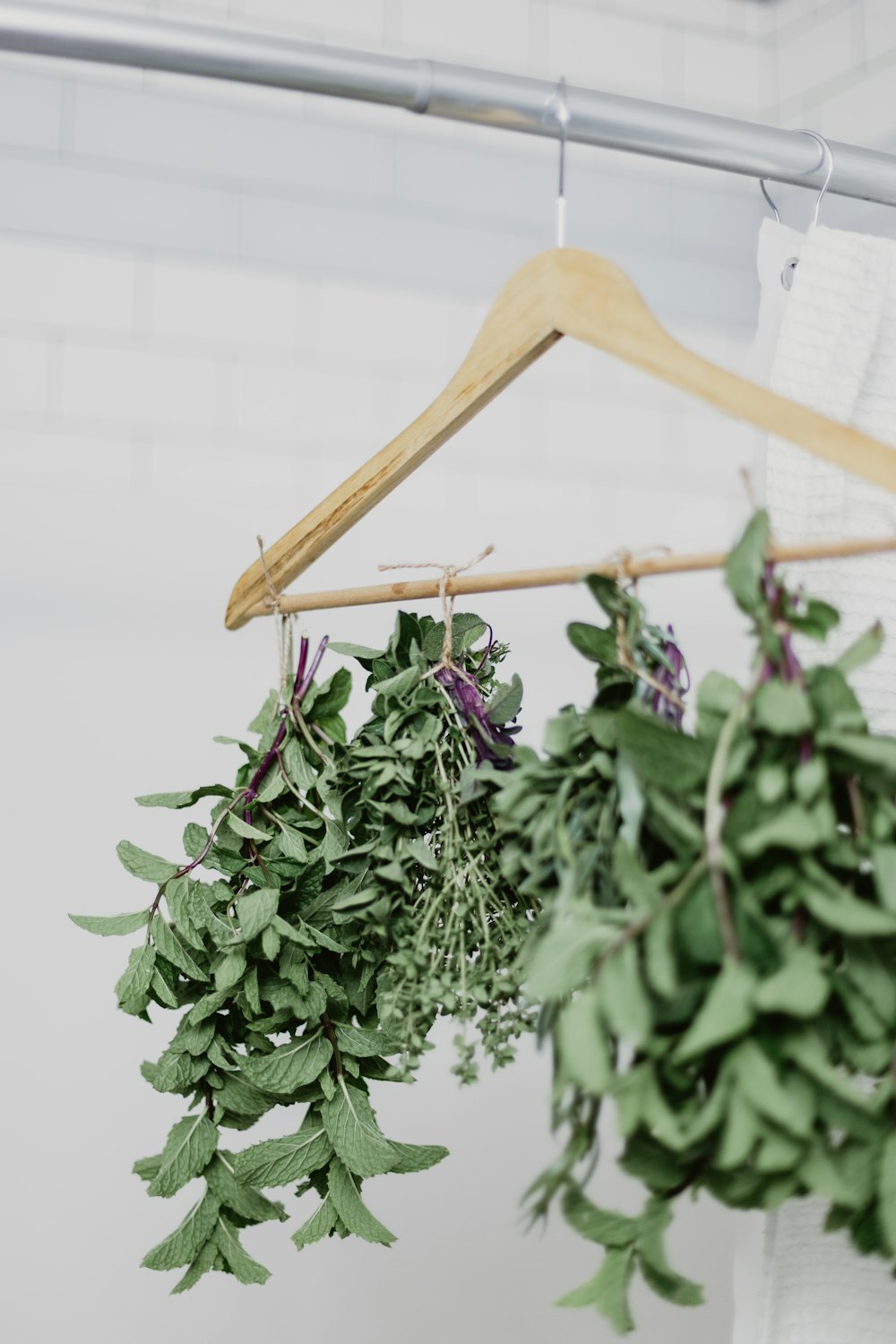 a plant with a wooden cross