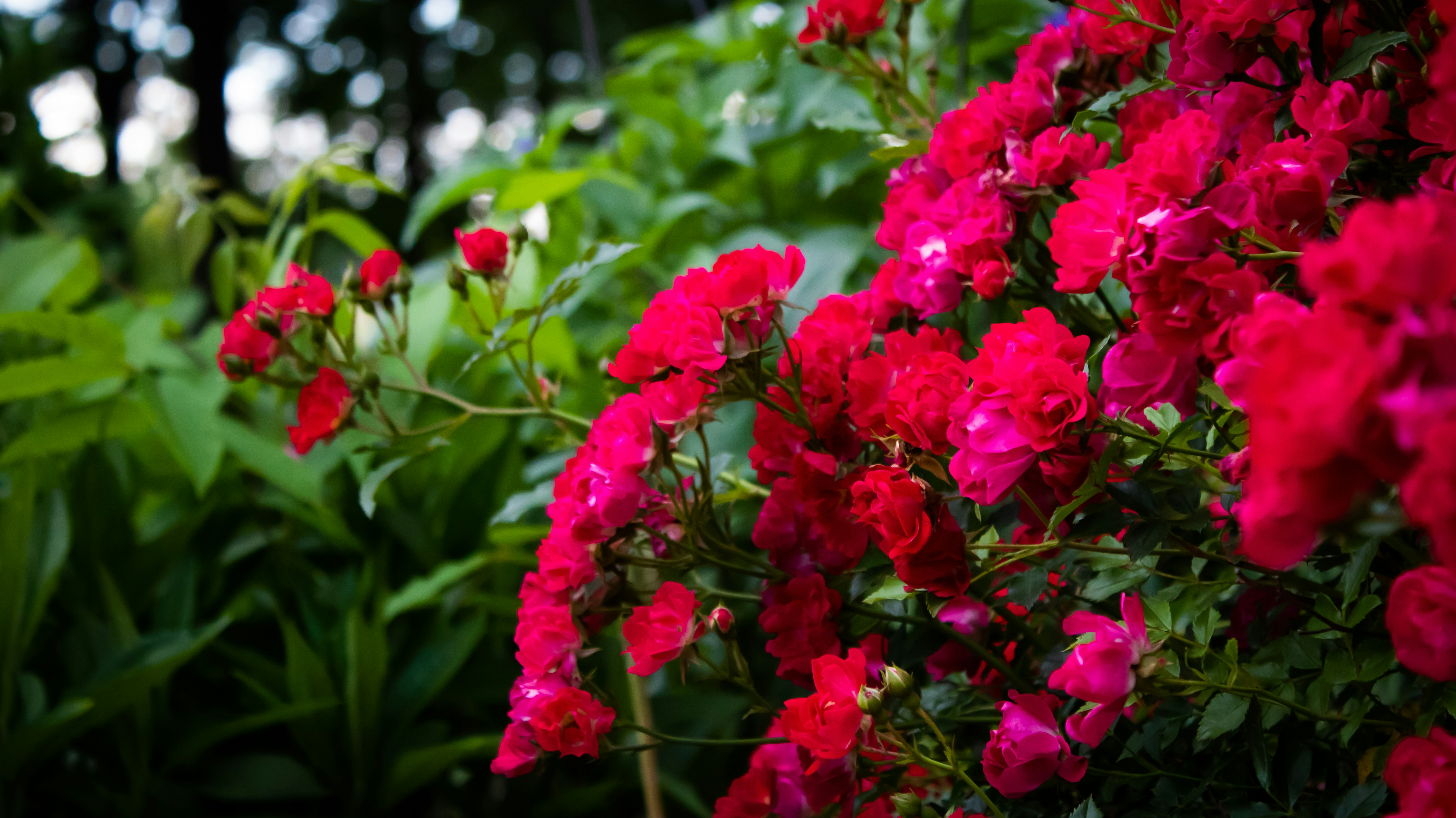 Photo by jacobgunther