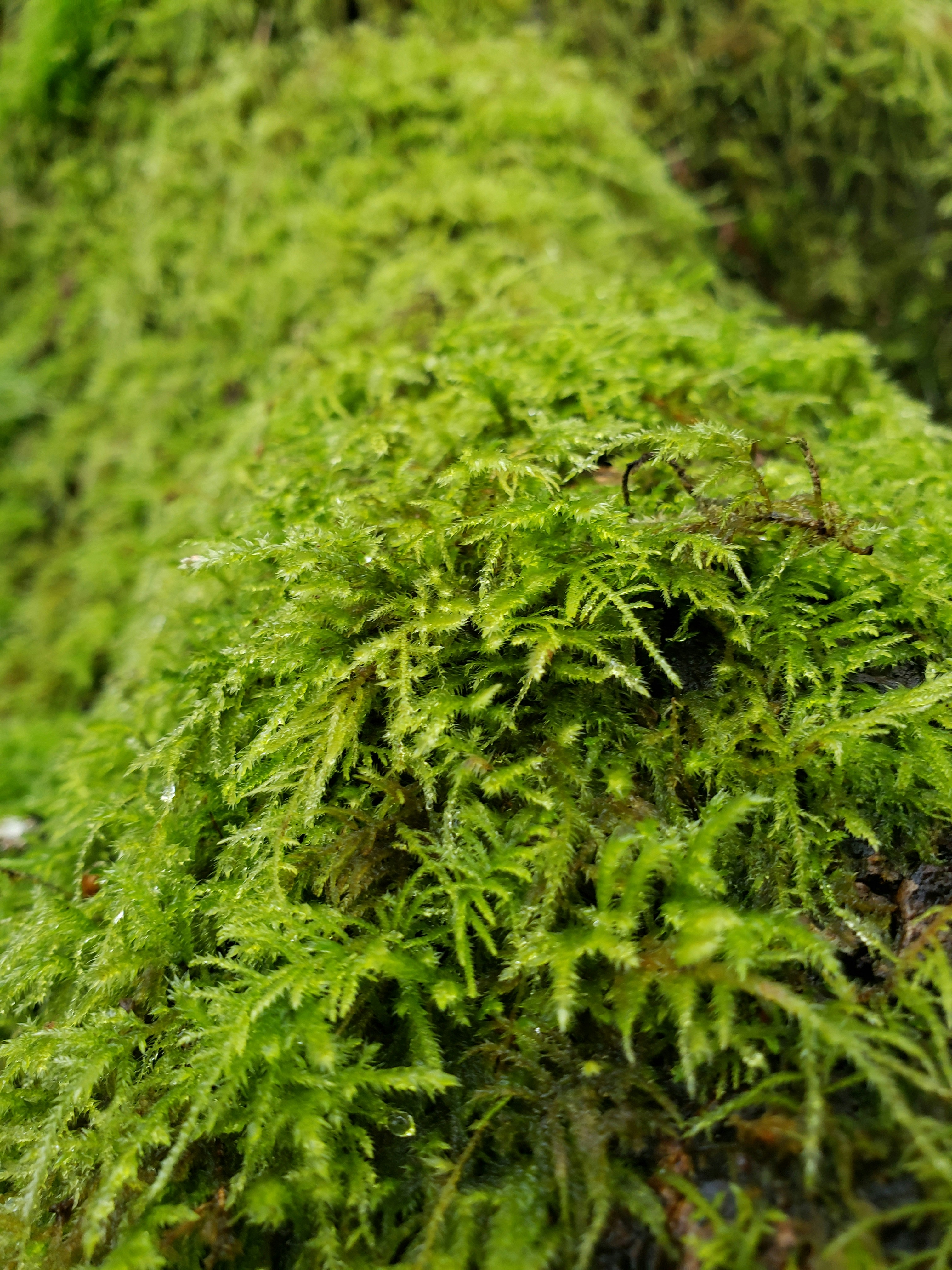 Photo by creative_matte