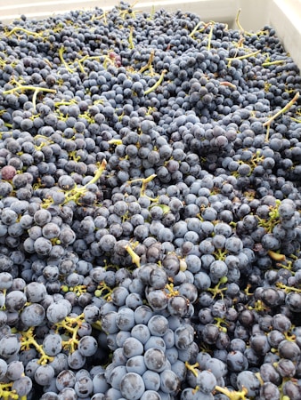 Anadolu’nun Doğal Lezzetleri: Pekmez ve Faydaları