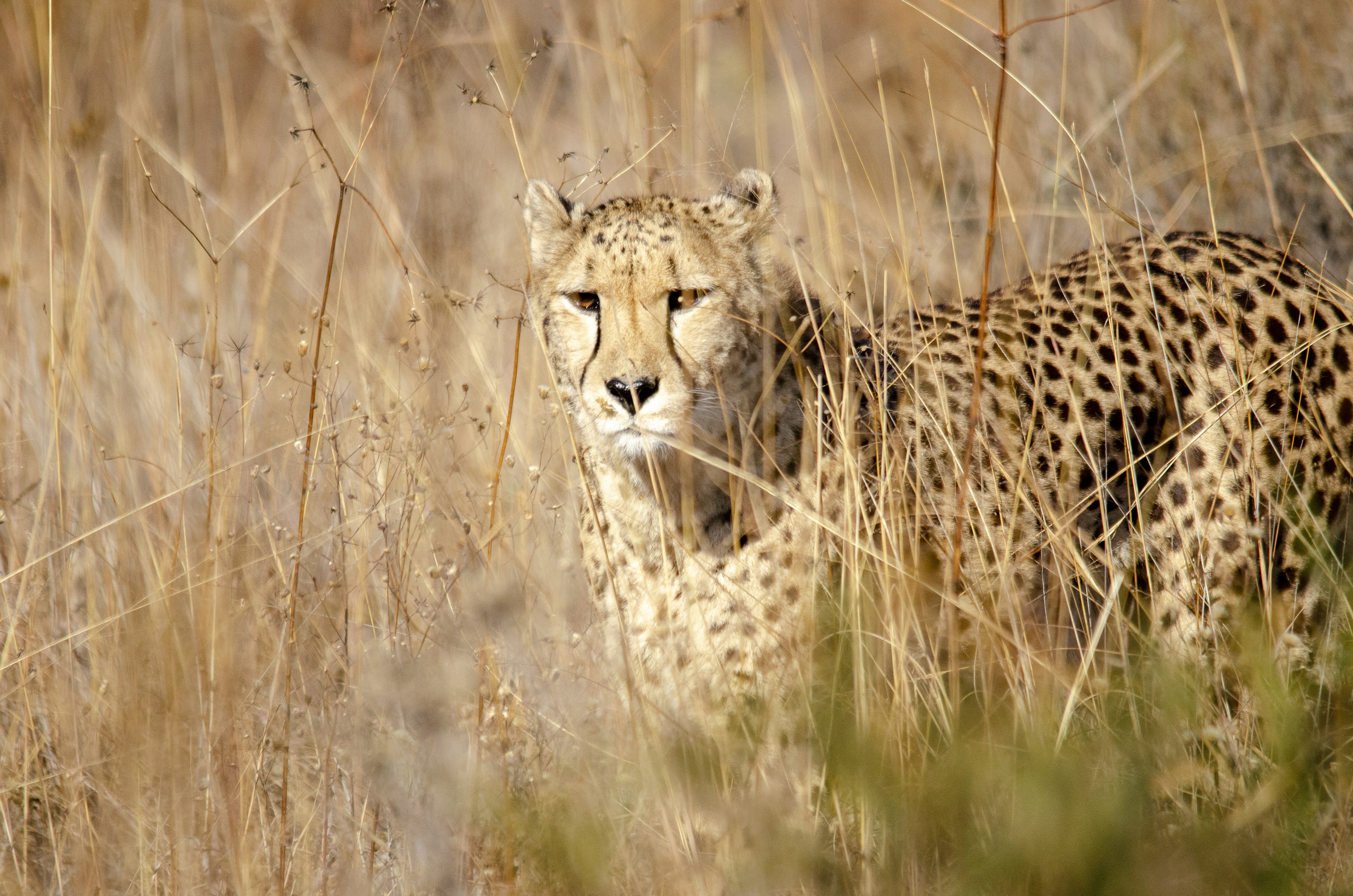 Photo by stewardesign