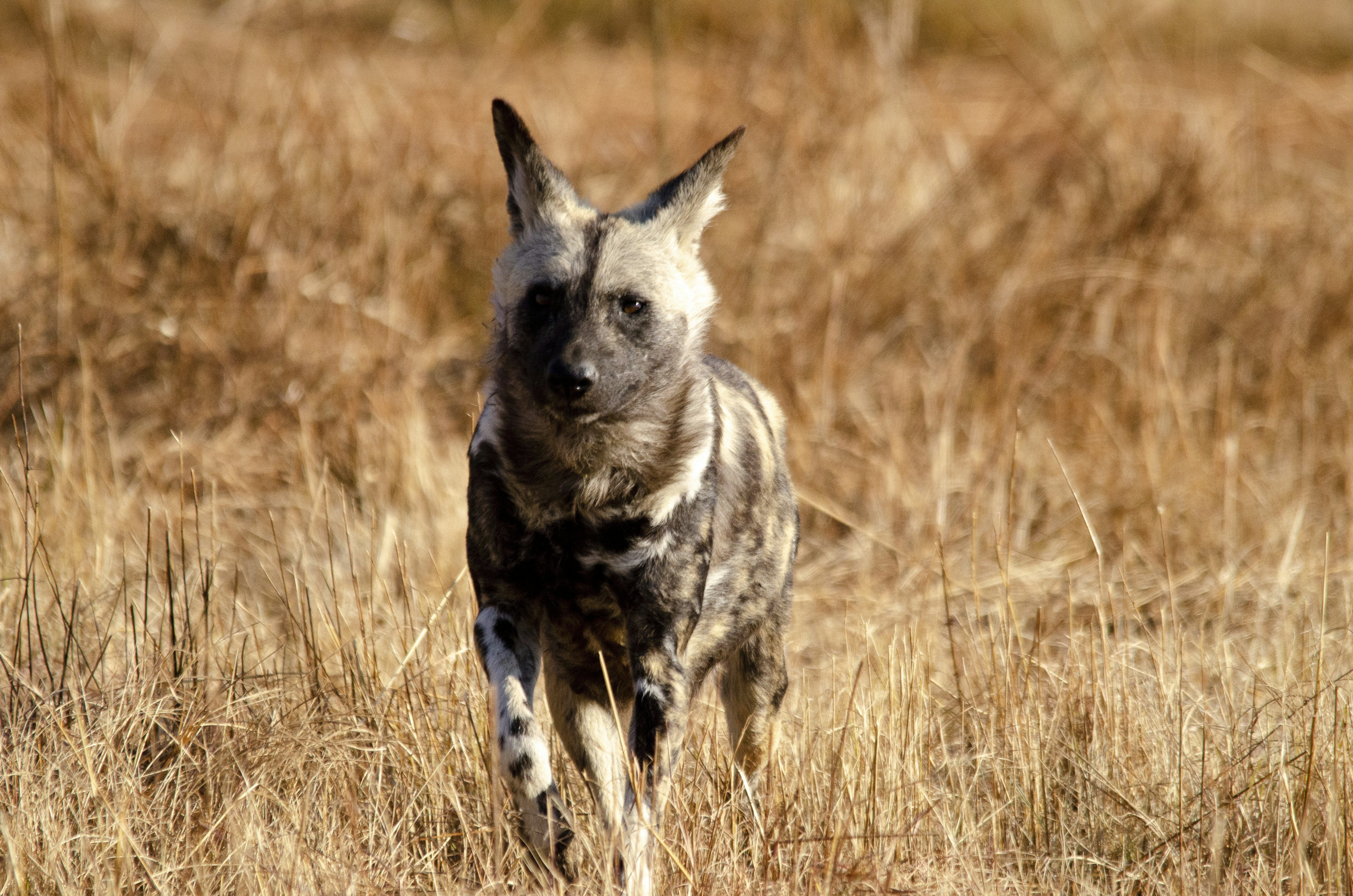 Photo by stewardesign