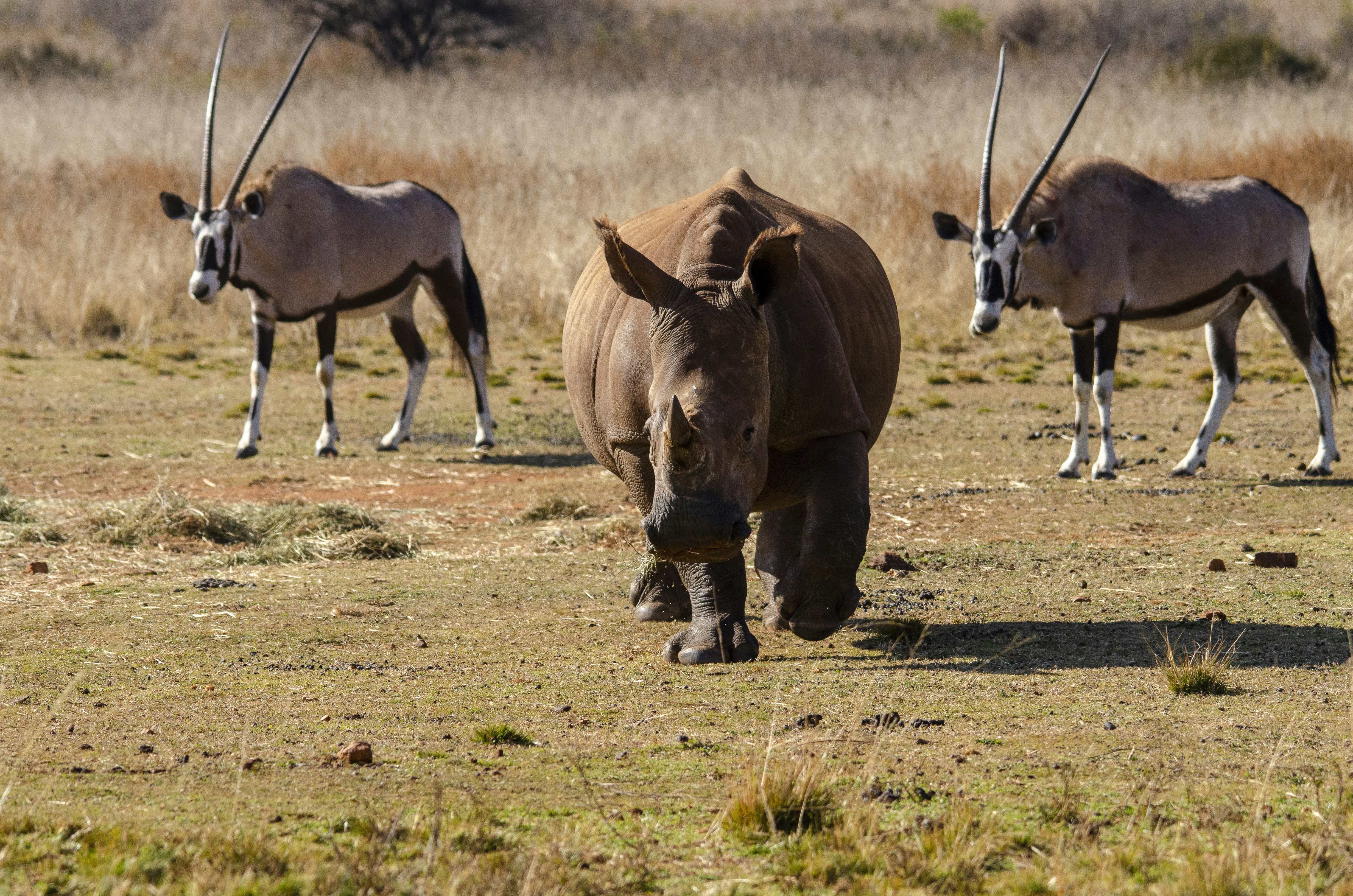 Photo by stewardesign