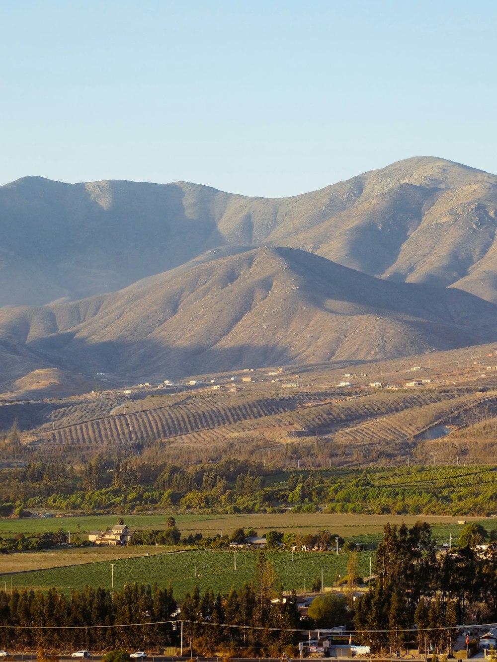 a valley with trees and mountains in the background