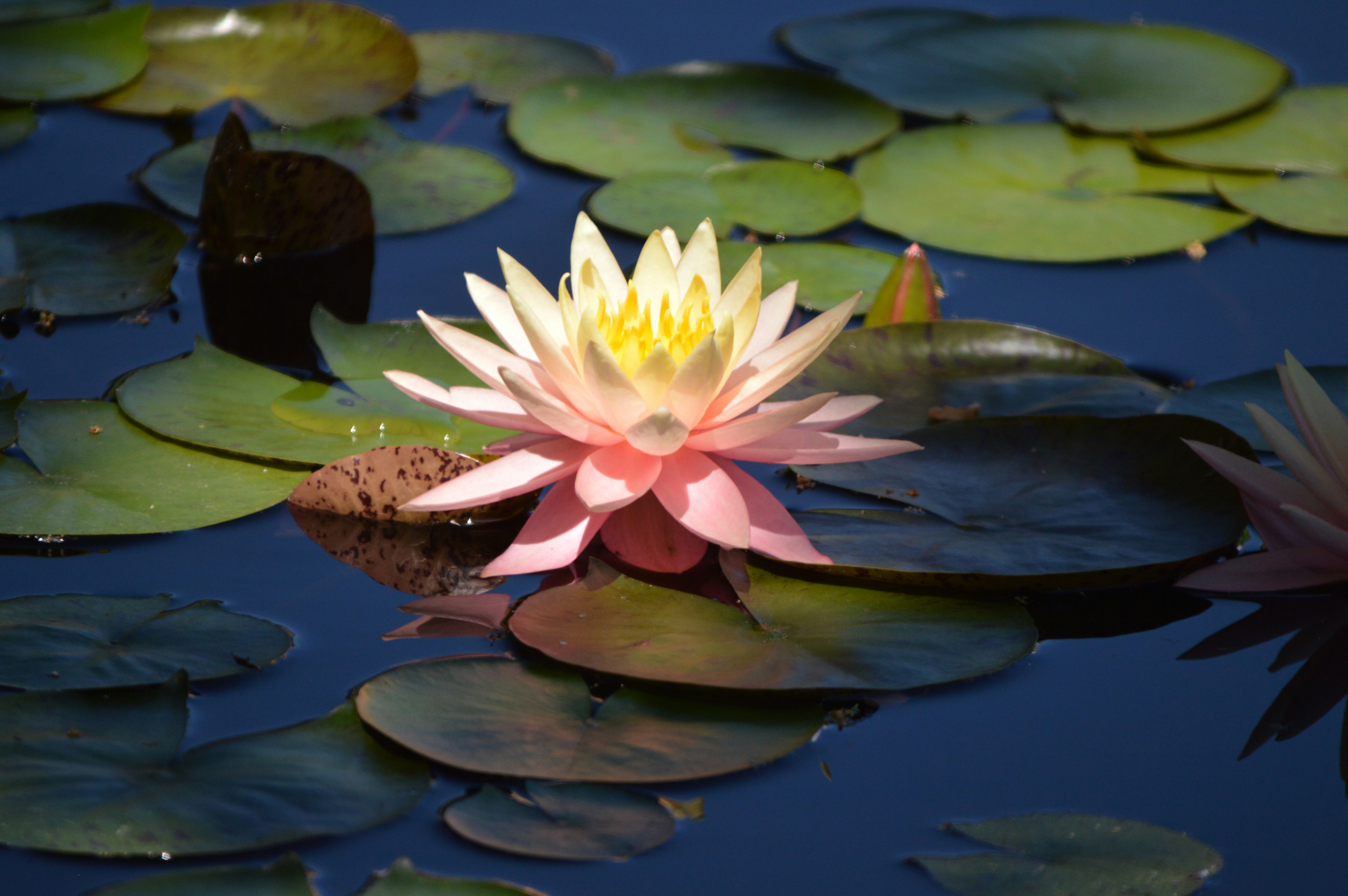 Photo by artisticeye_photo_art