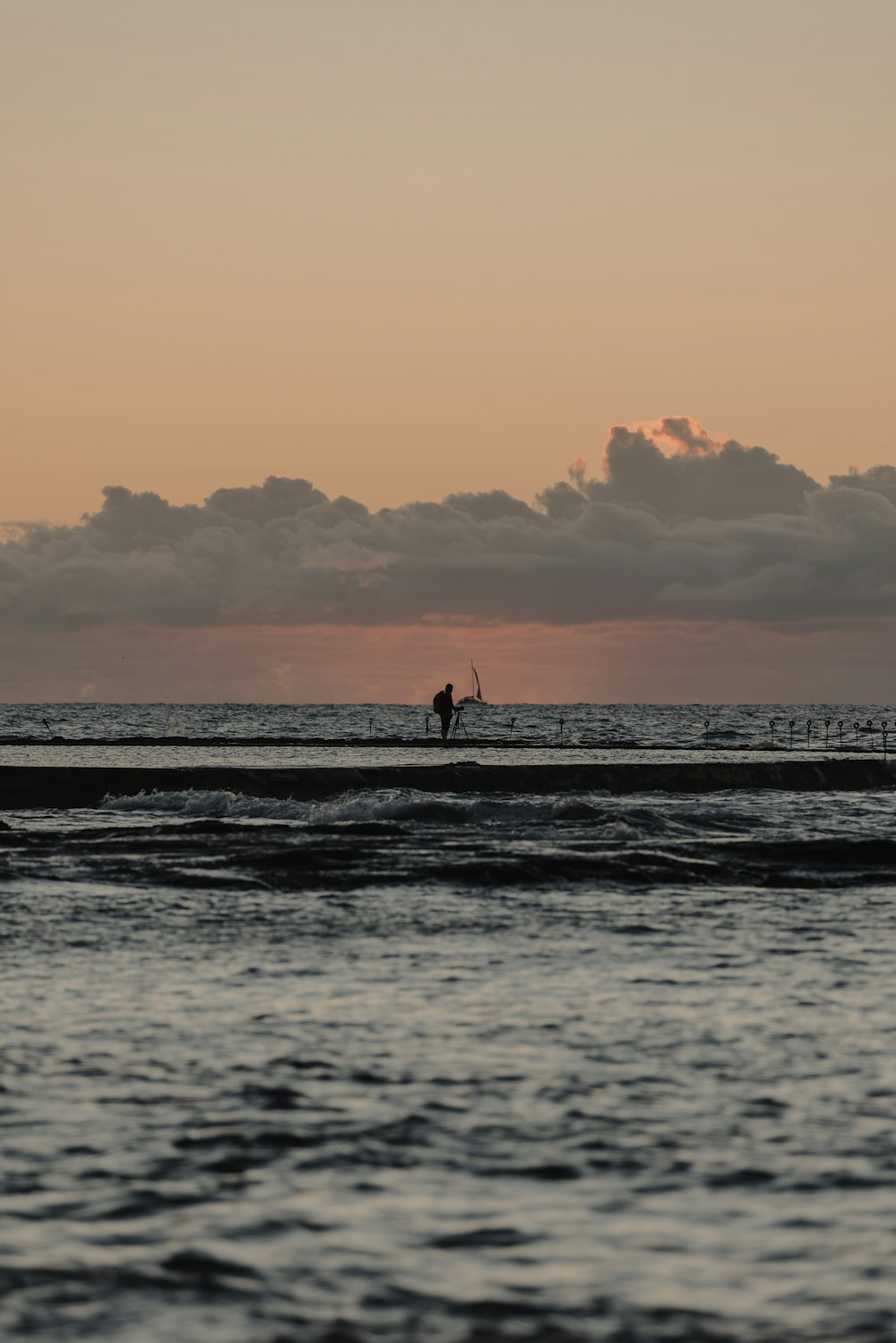 a couple of people on a beach