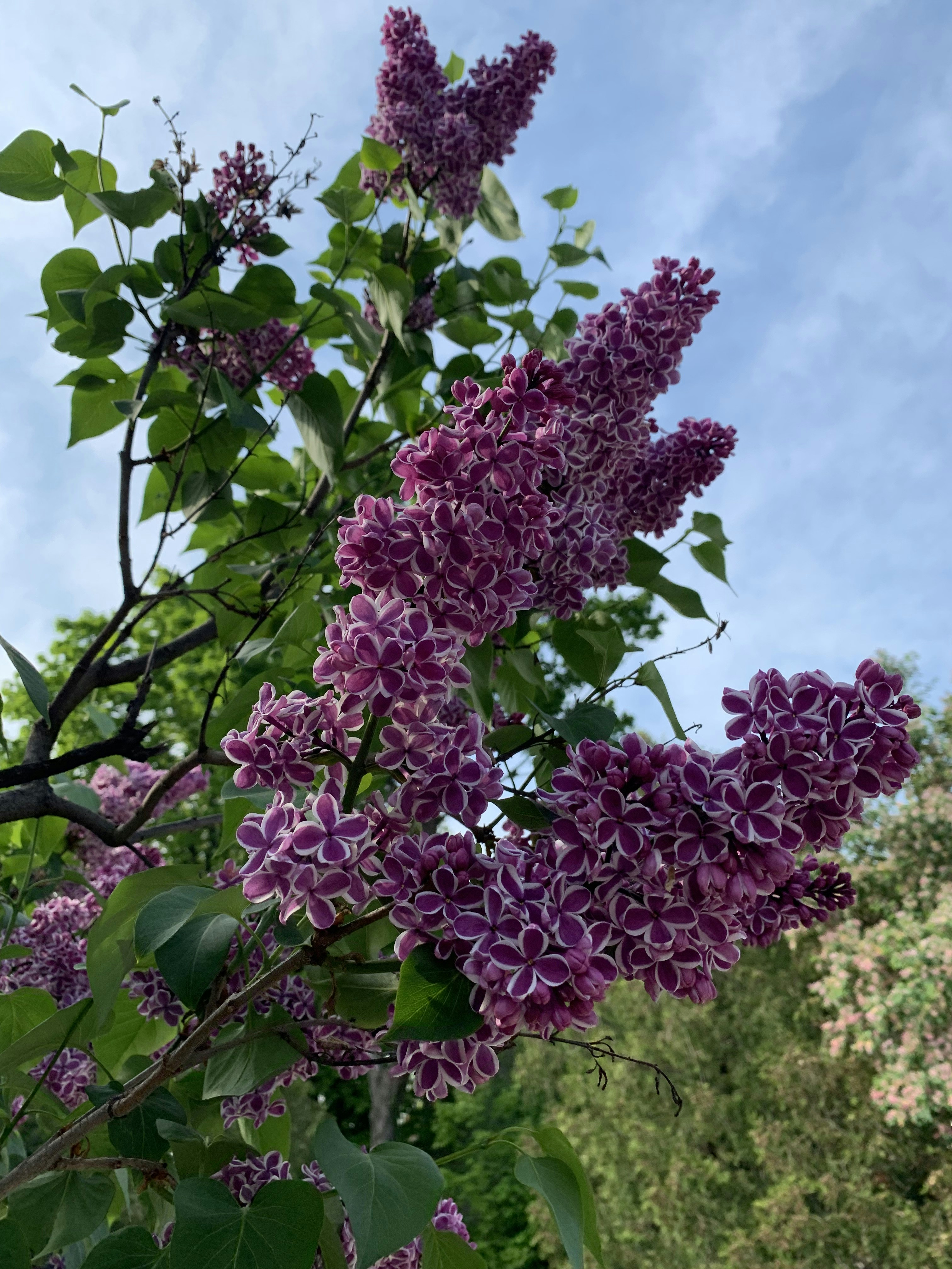 Photo by shamsiyakhabeer