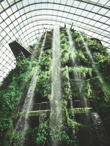 A vertical garden indoors featuring cascading waterfalls down a lush green wall, surrounded by a large glass-domed structure. Various plant species cover the wall, with visible walkways and metal frameworks embedded within the foliage.
