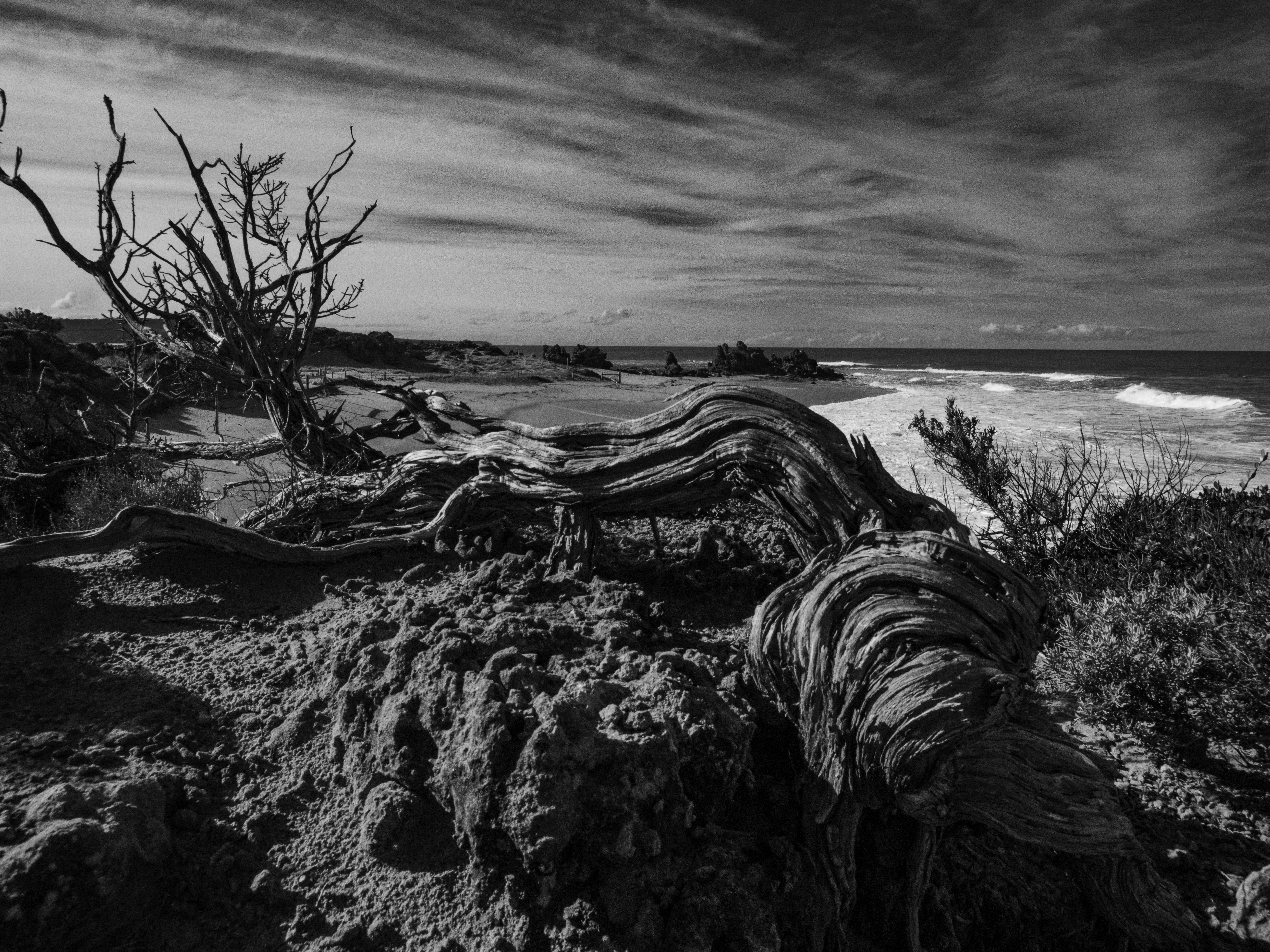 Photo by 11x11