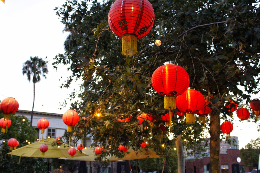 a tree with lanterns from it