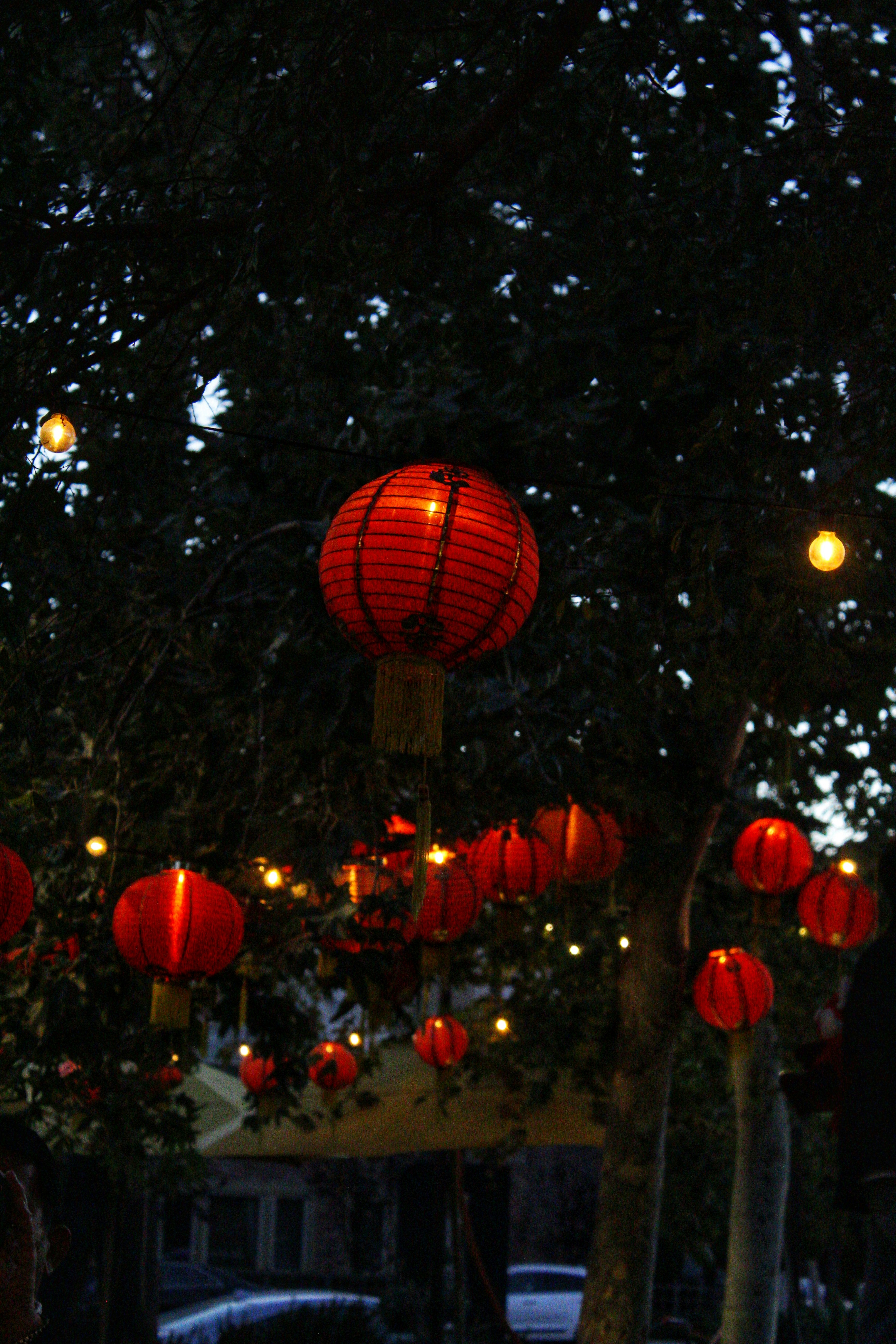 a group of red lanterns from a tree