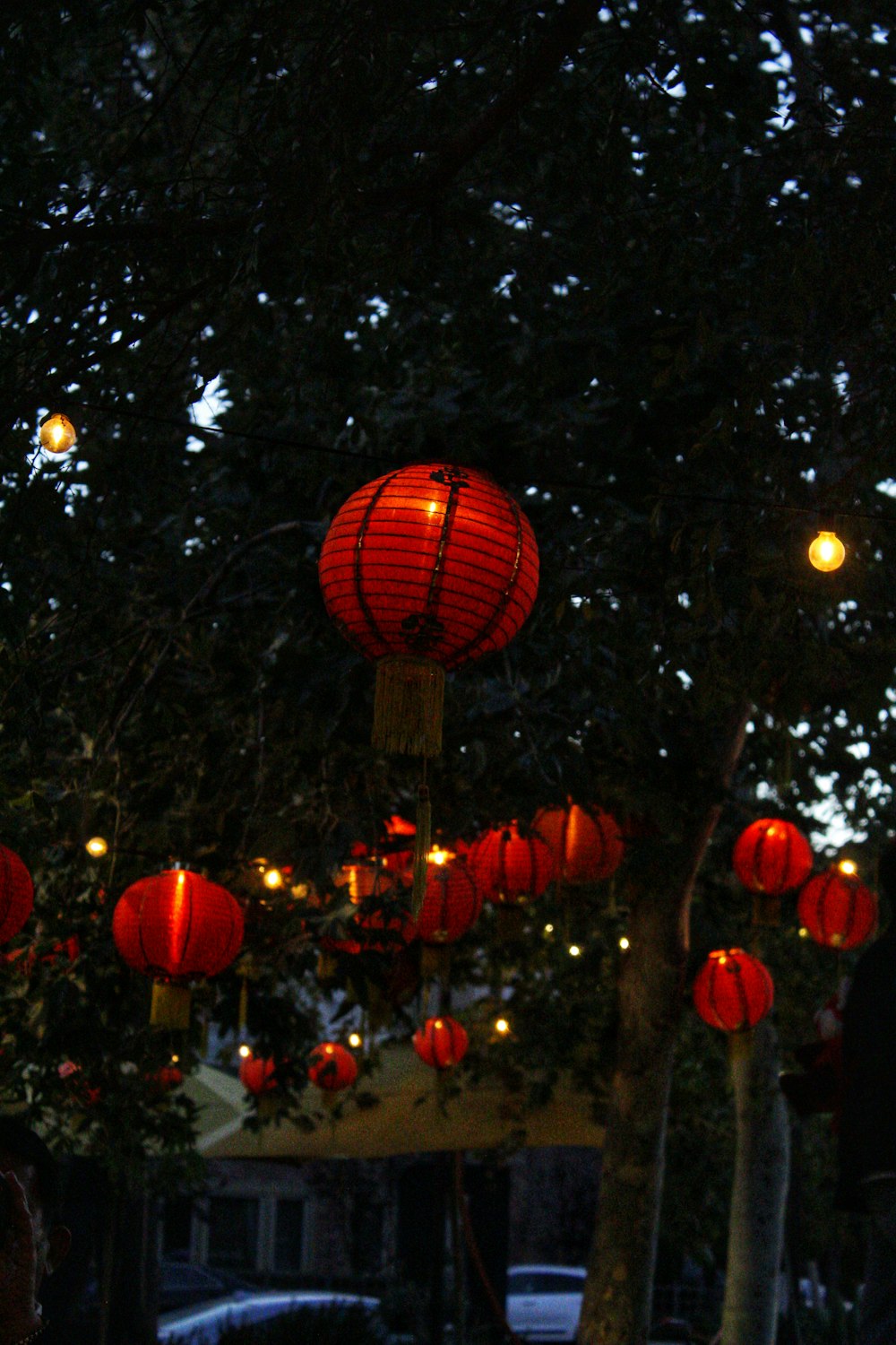 a group of red lanterns from a tree