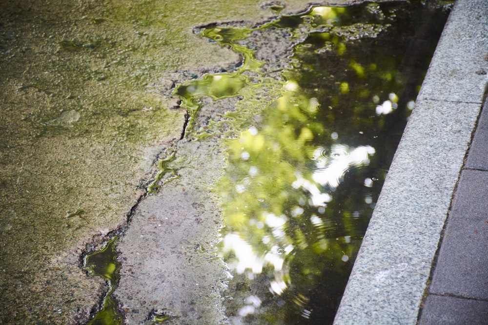a puddle of water on the sidewalk