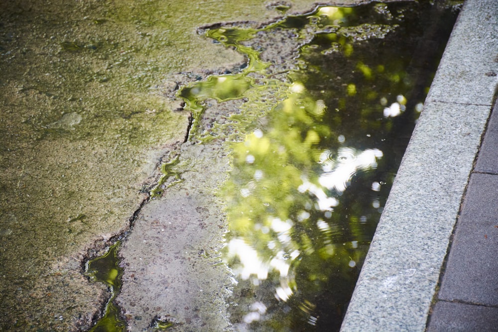 un charco de agua en la acera