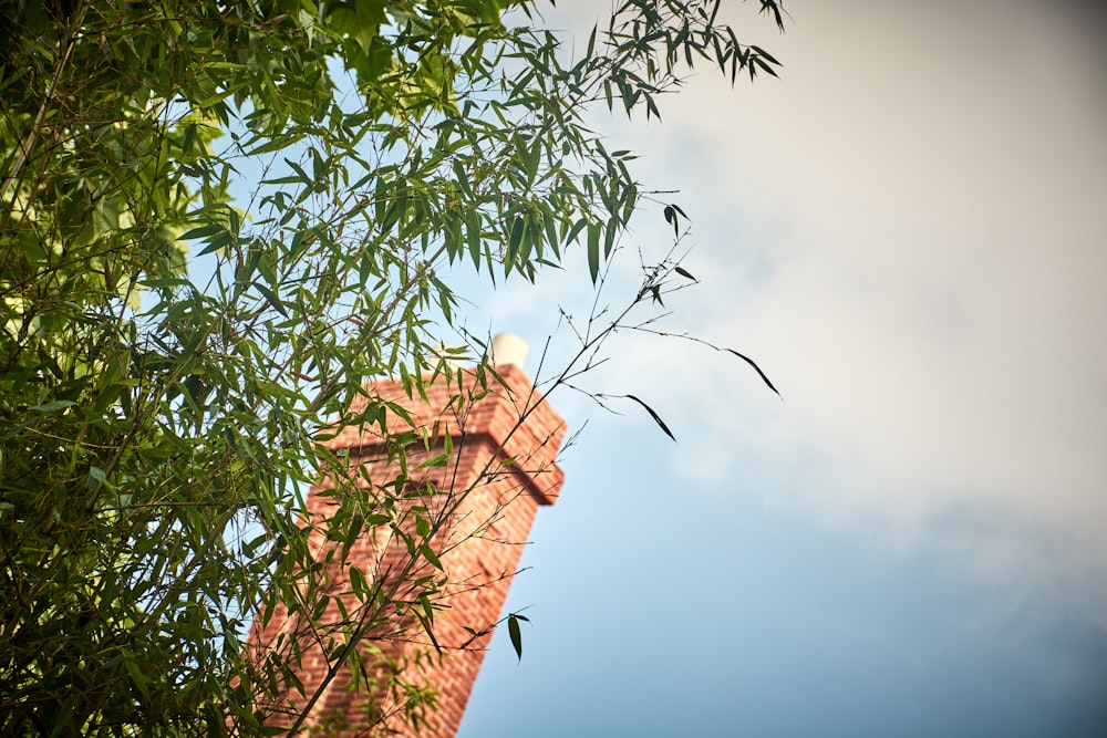 Un pájaro en una torre