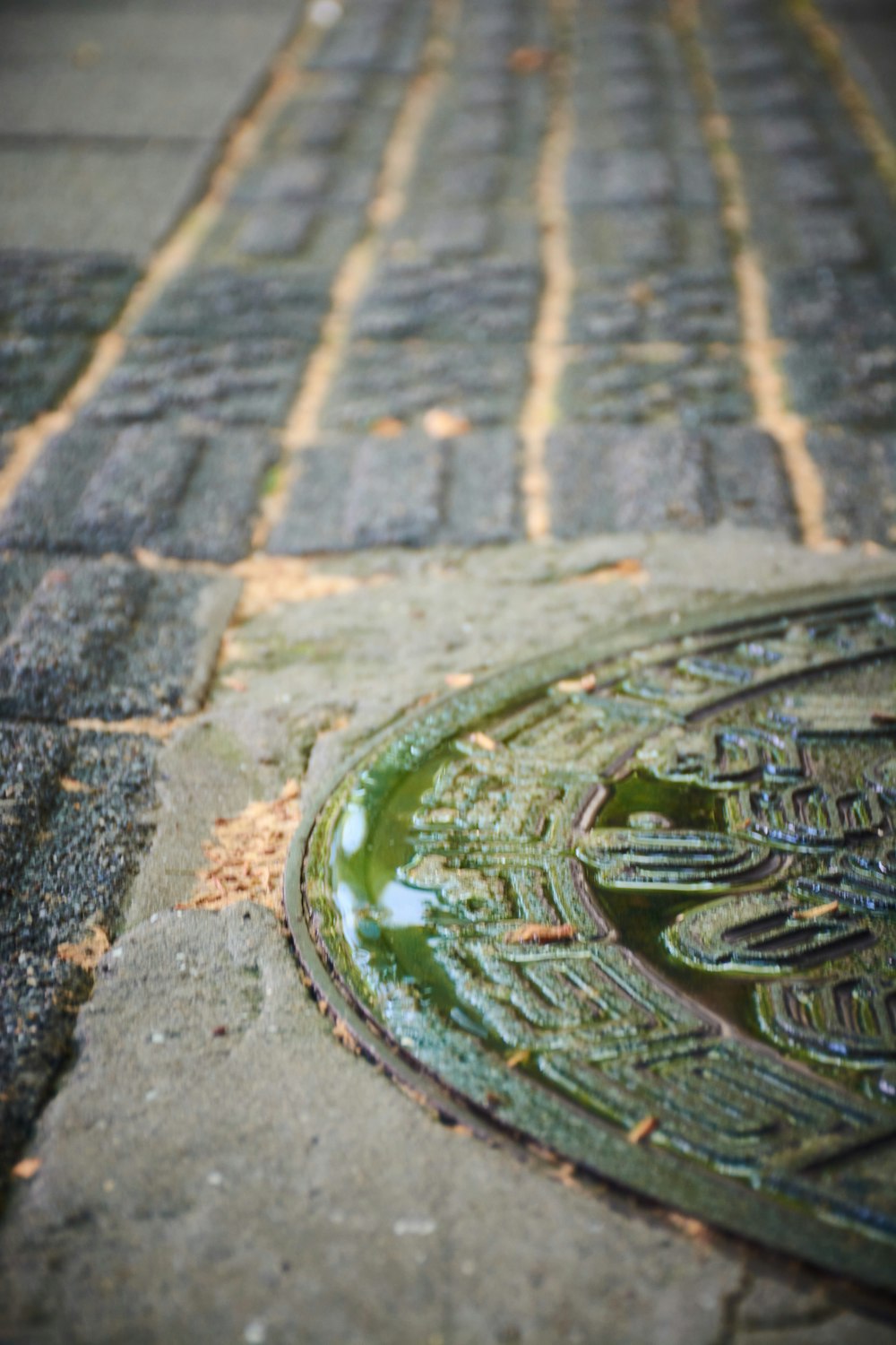 a stone walkway with a design in it