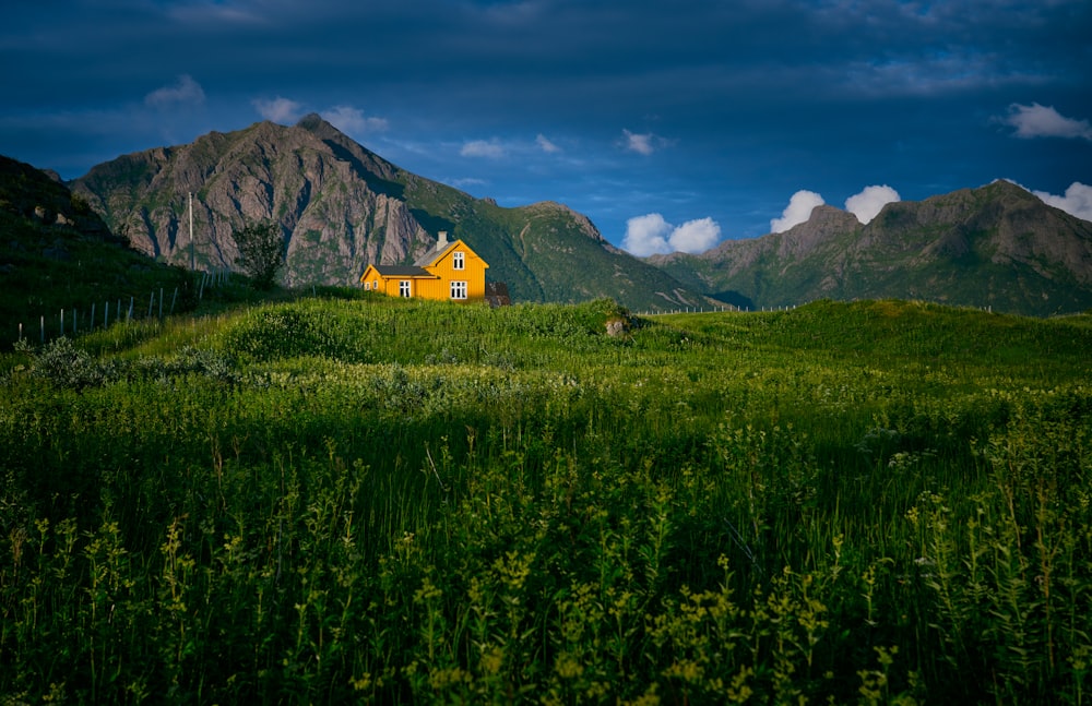 a house in a field of green plants with mountains in the background