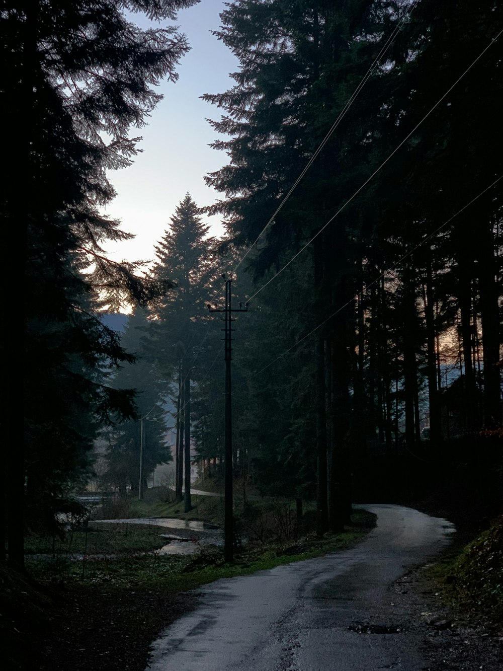 a dirt road with trees on either side of it