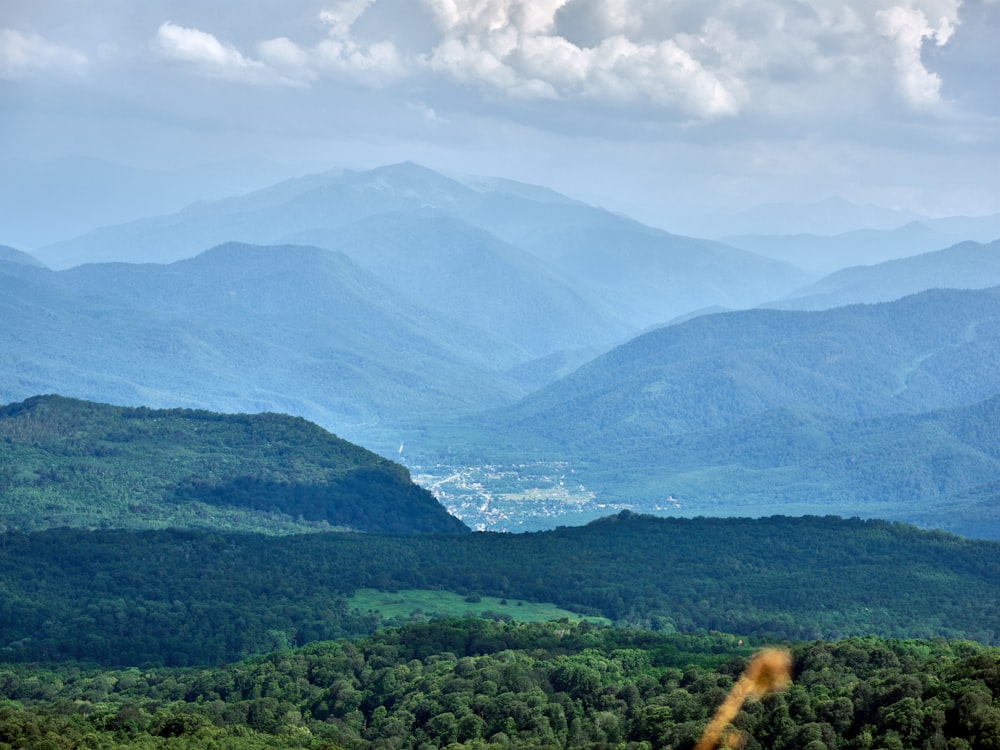 a valley with trees and mountains in the background