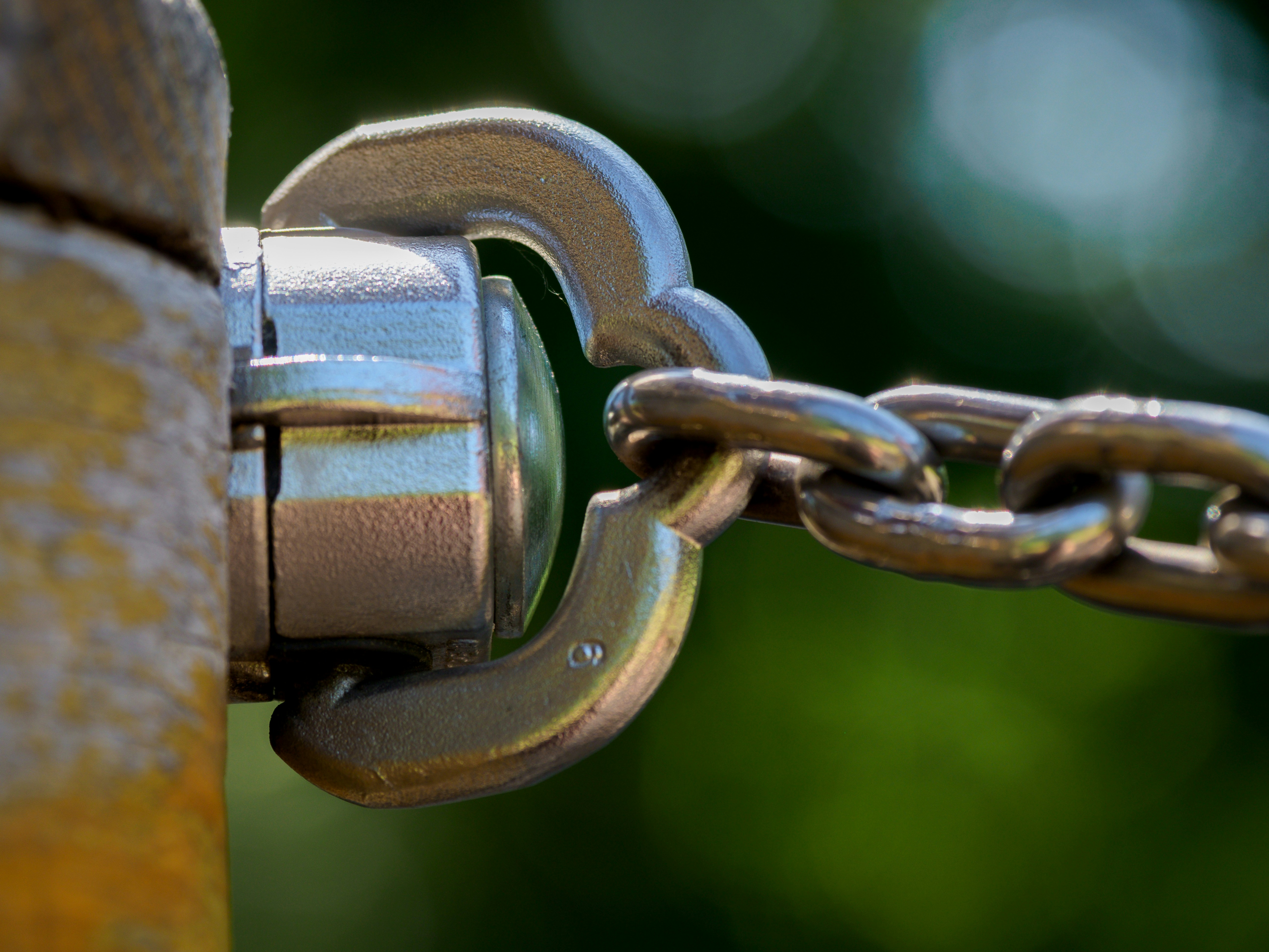 Photo by brett_jordan