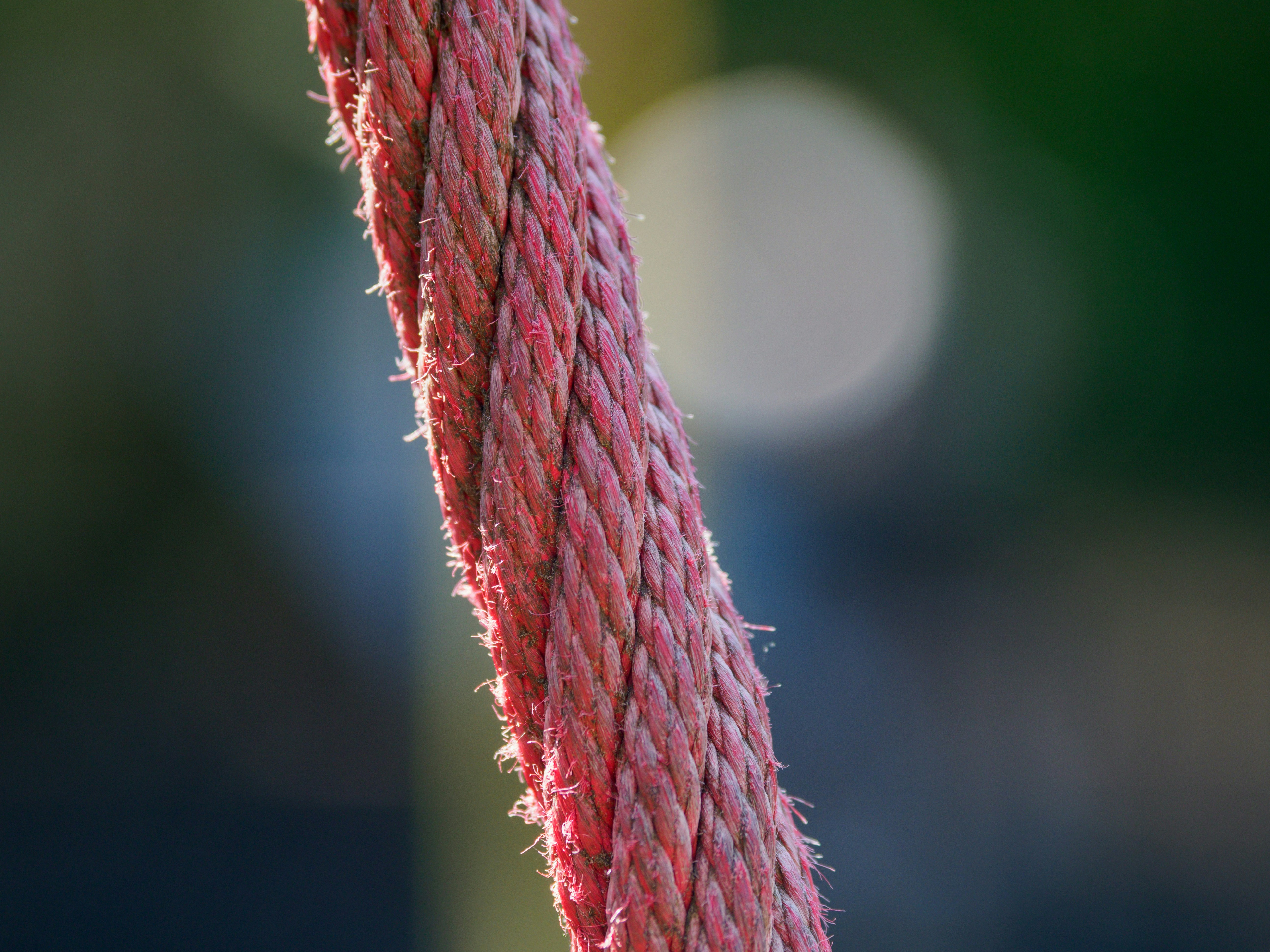 Photo by brett_jordan