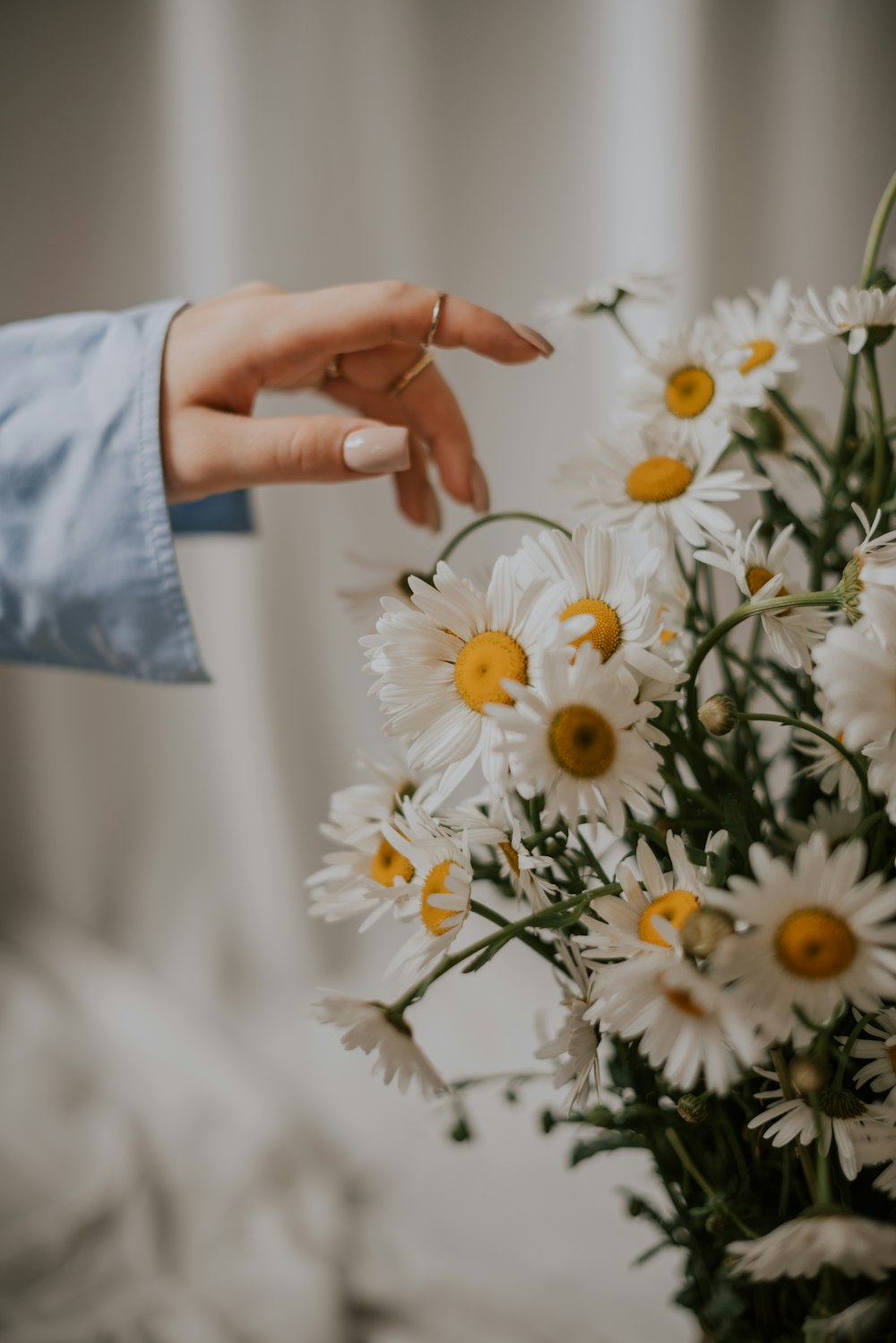 a hand holding a white flower