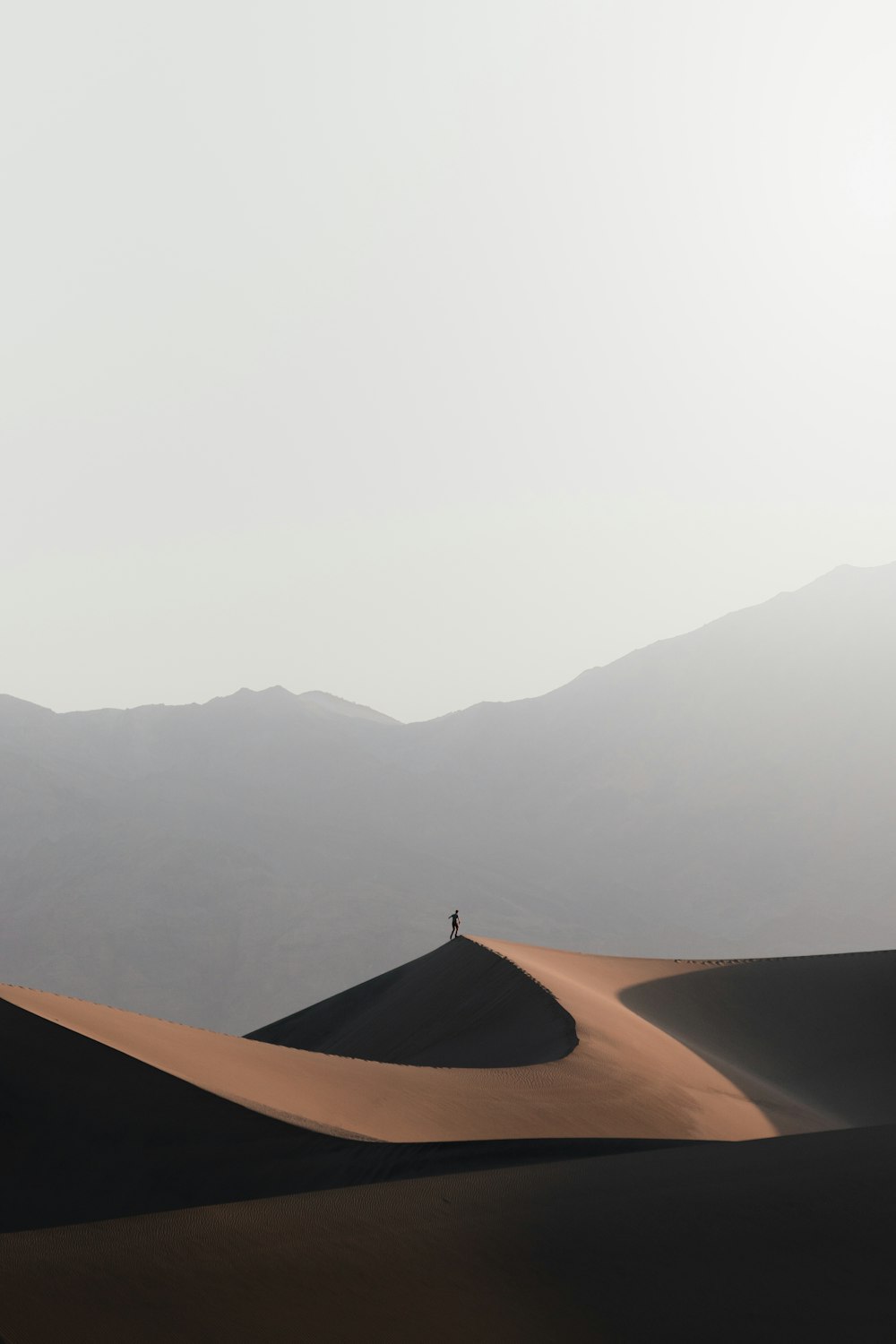 a person standing on a hill