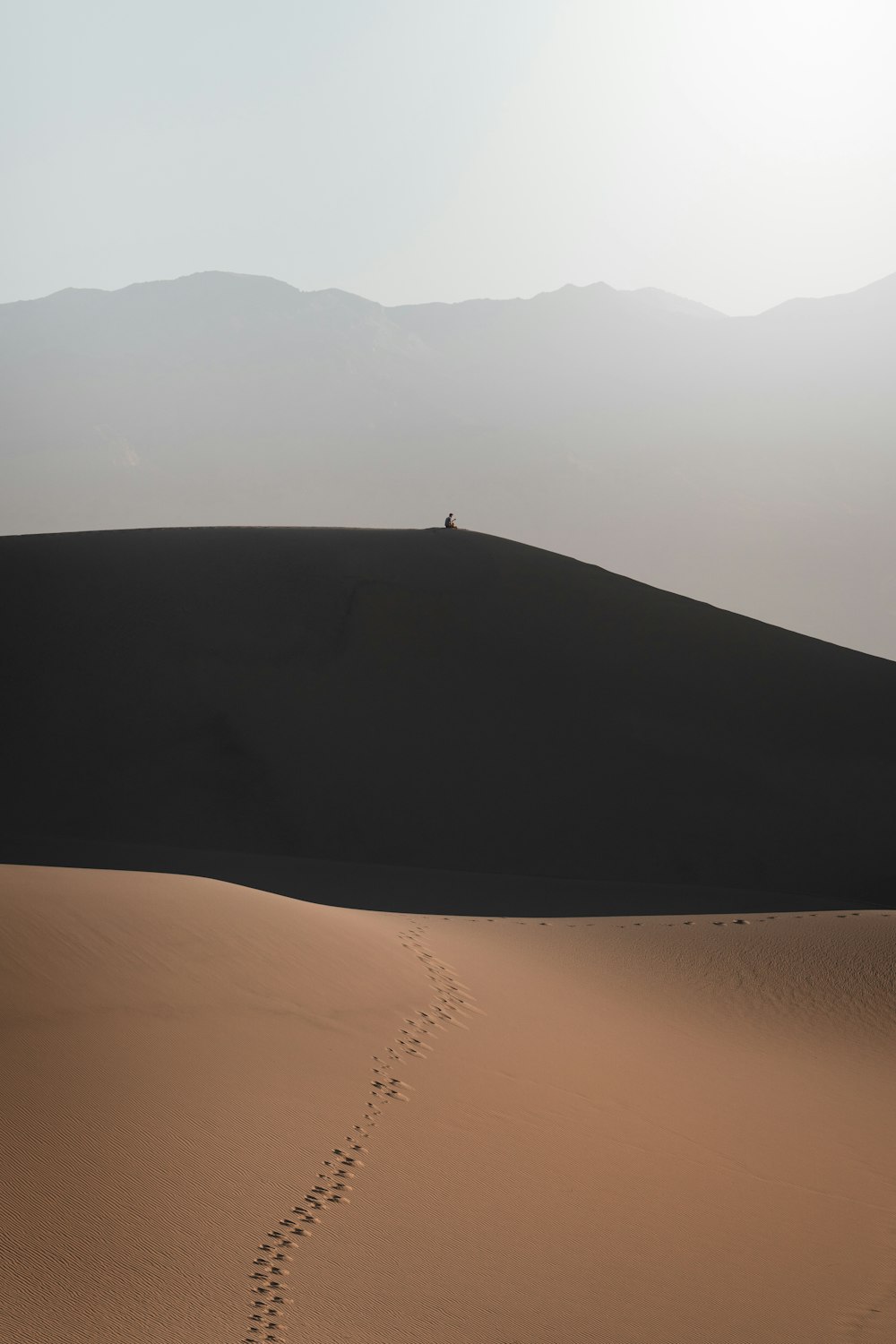 a person standing on a hill