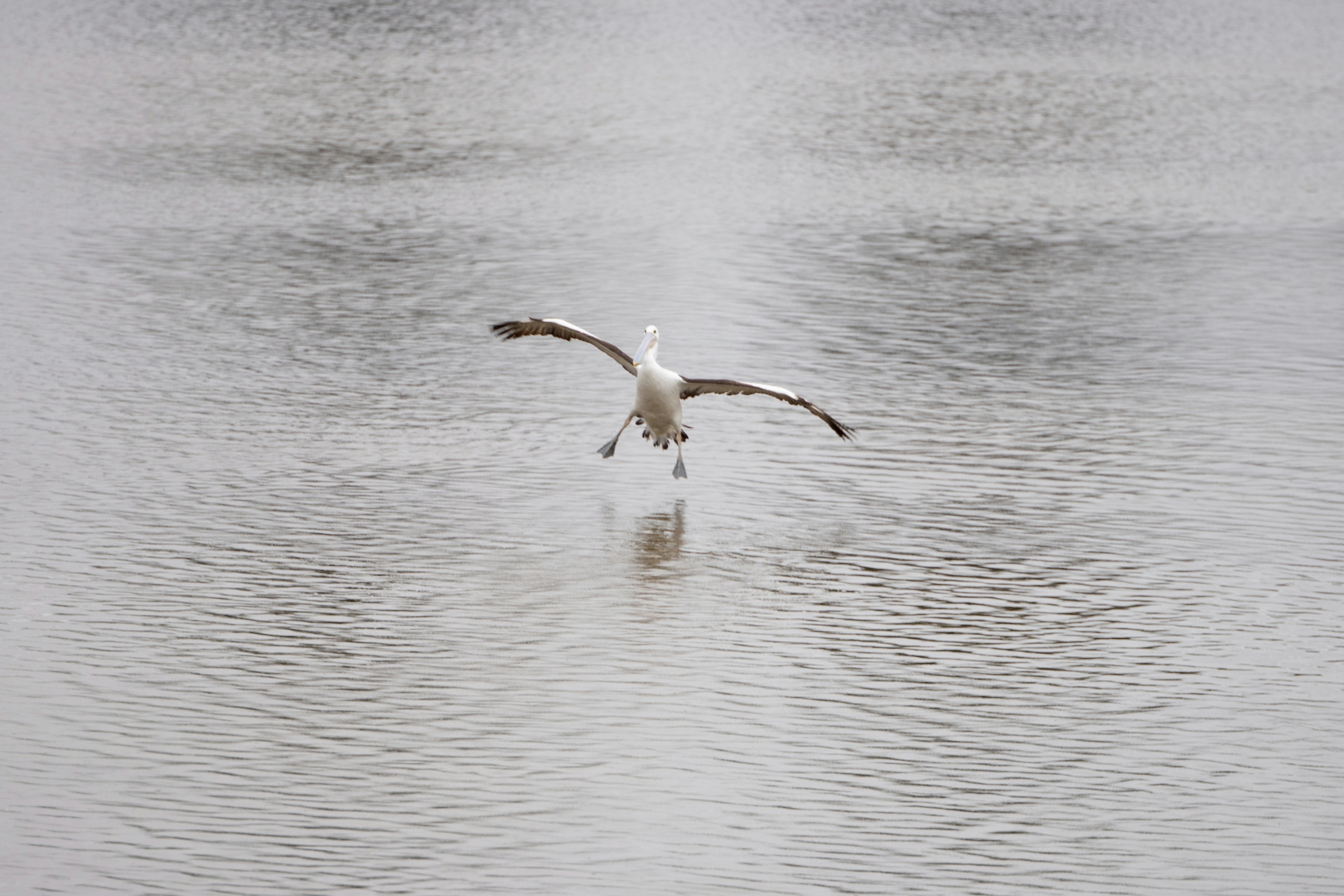 Photo by kelli_mcclintock