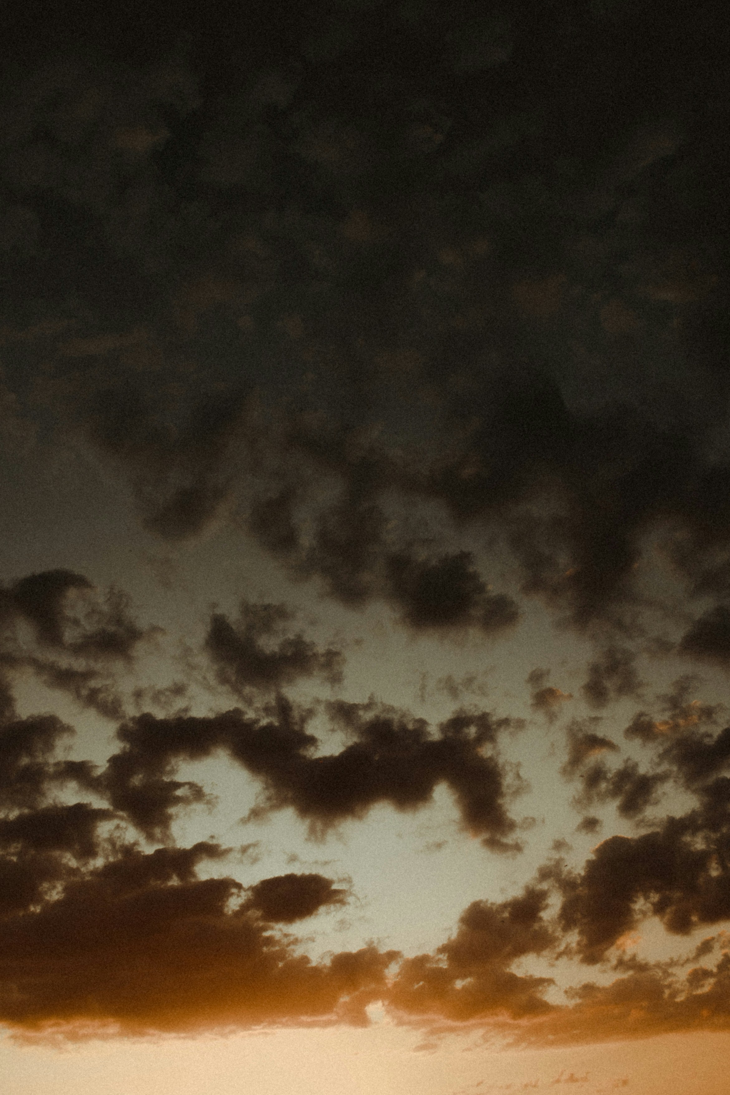 Photo by vitormonthay