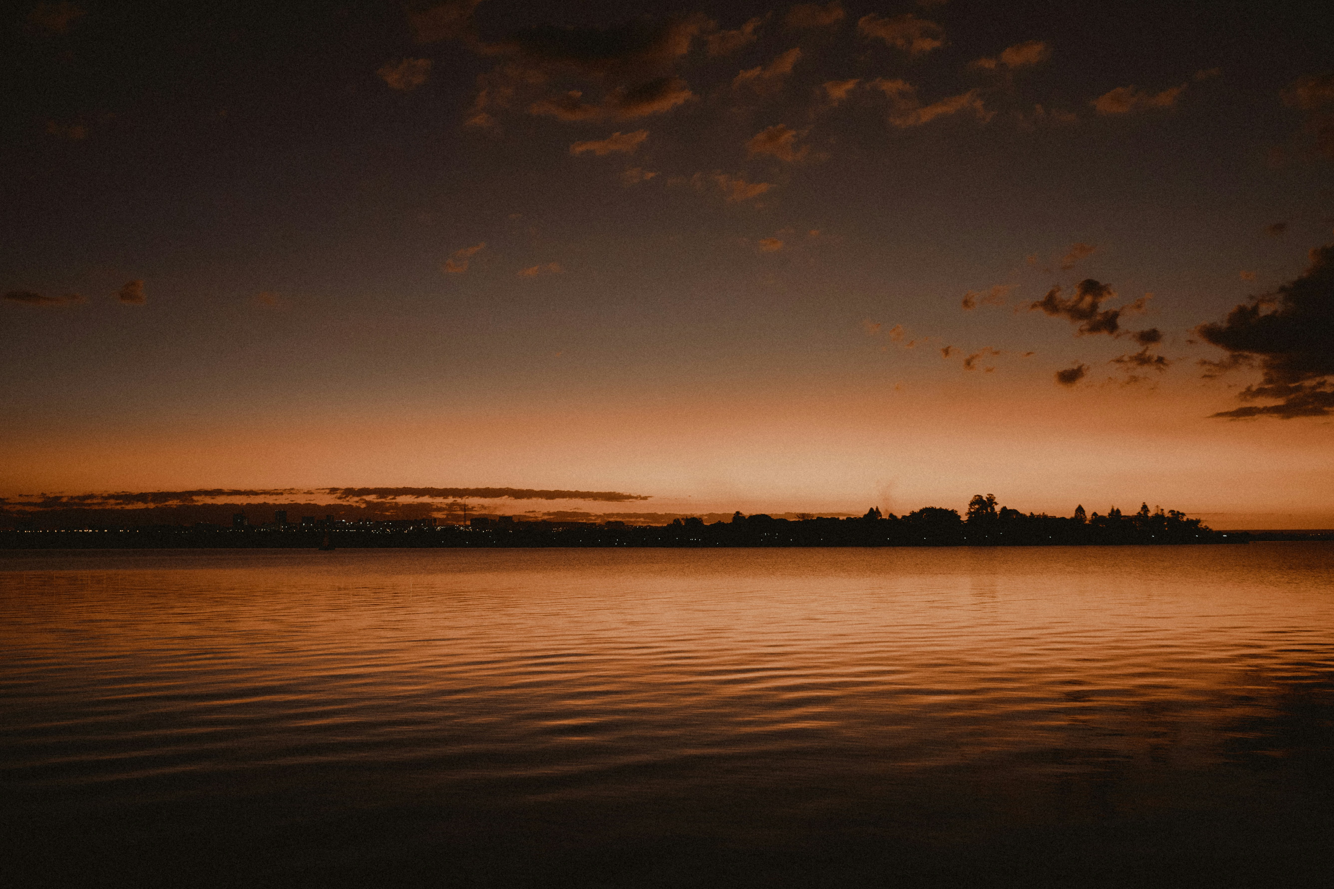 Photo by vitormonthay