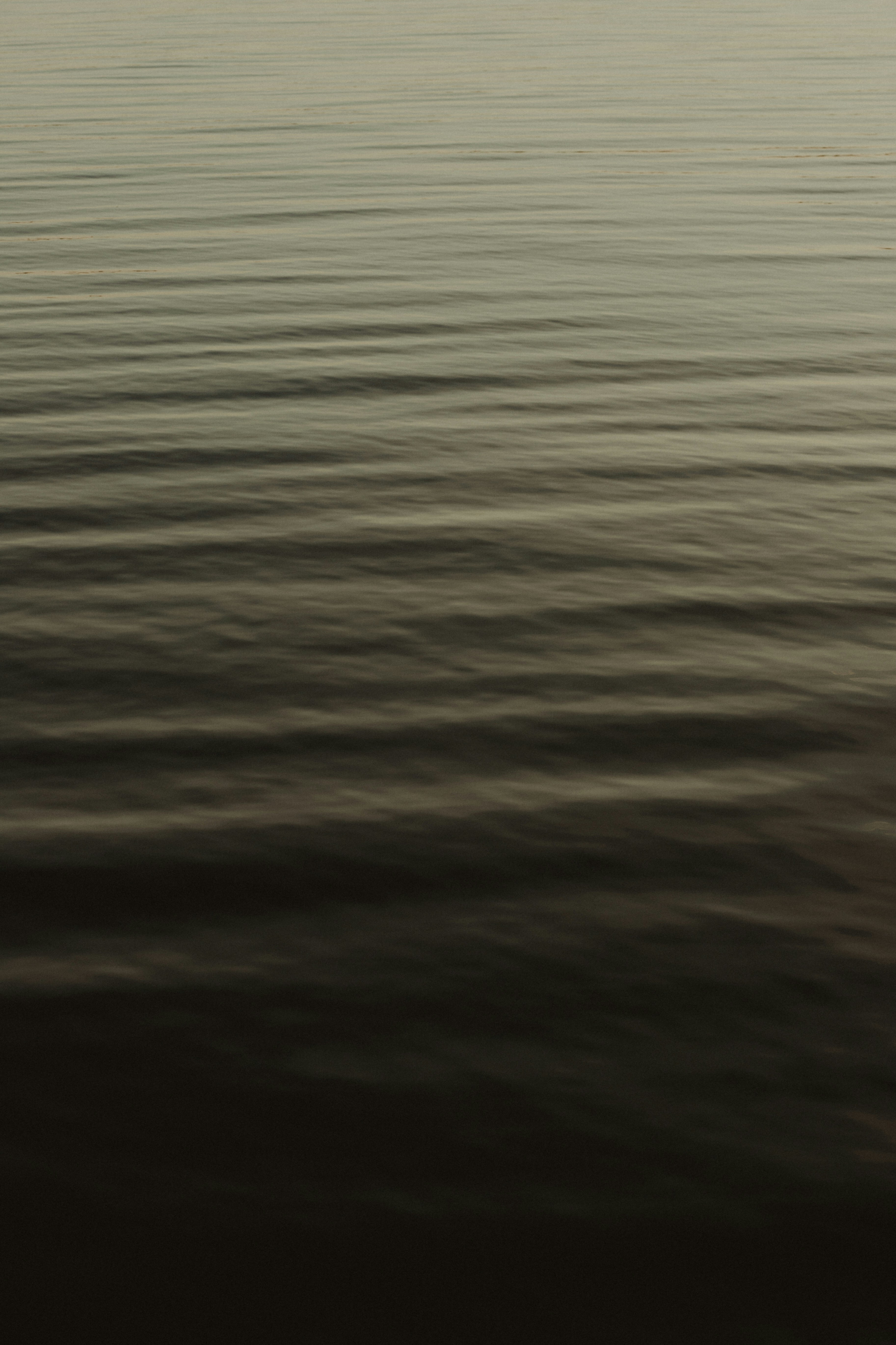 Photo by vitormonthay