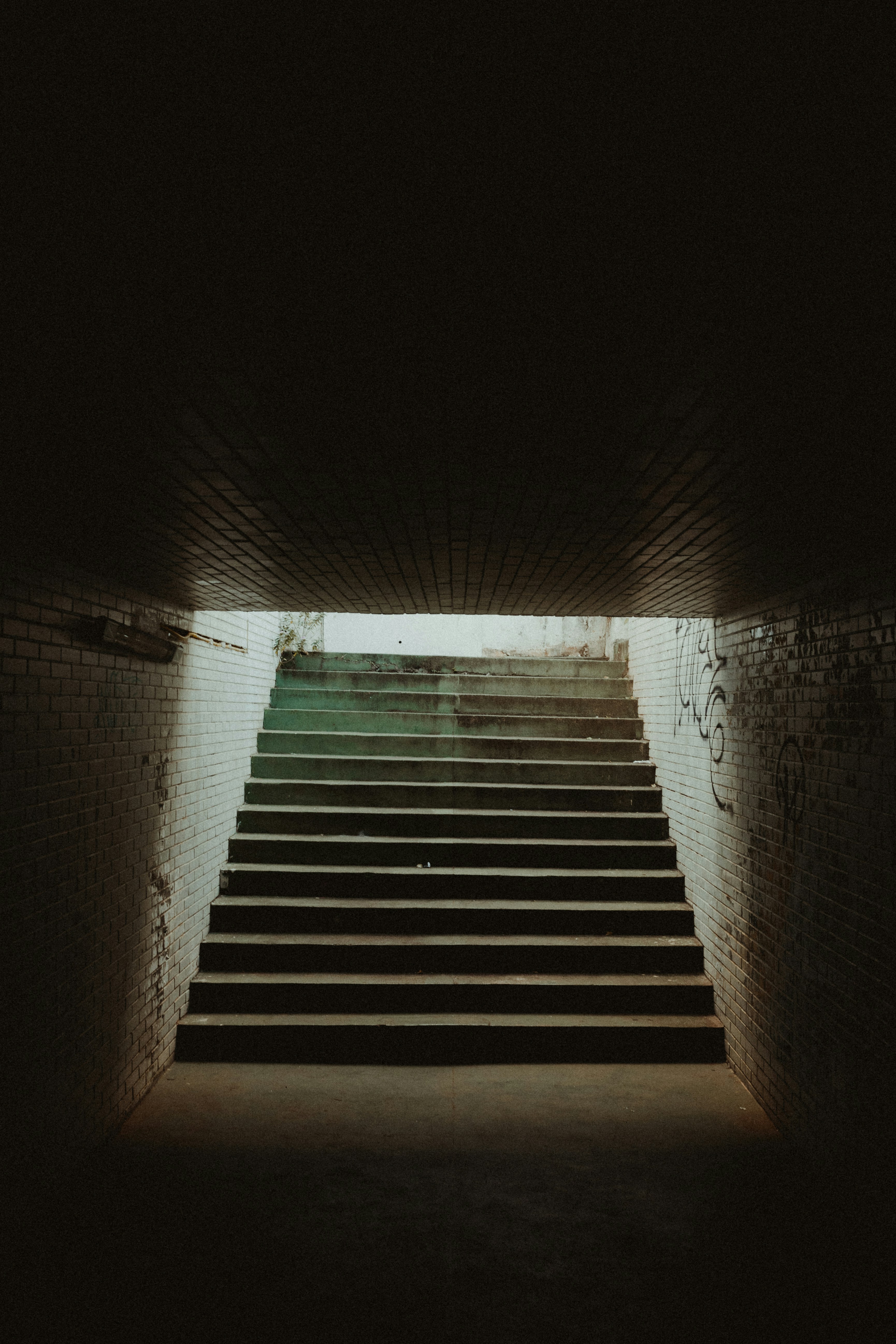 Photo by vitormonthay