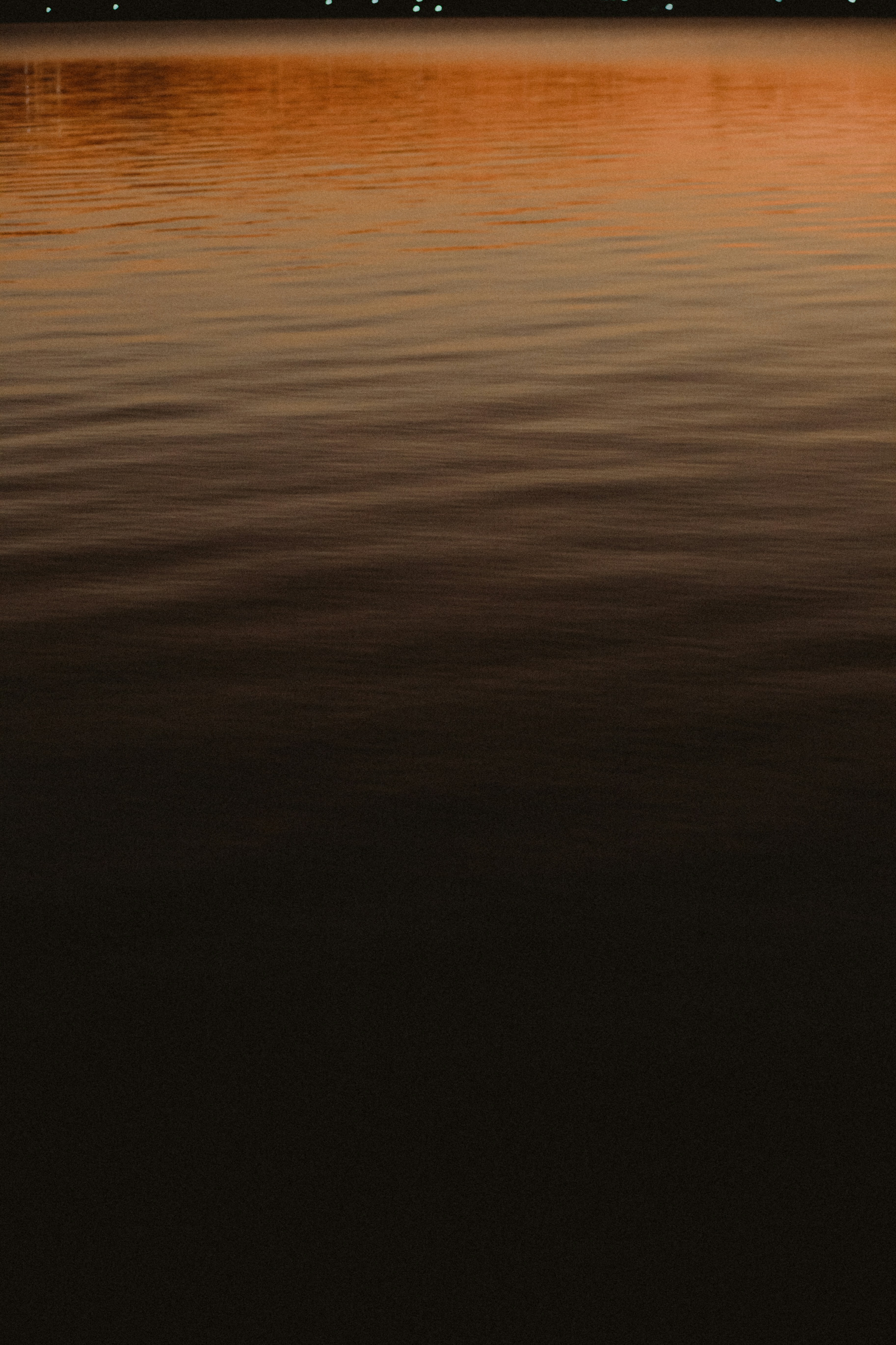 Photo by vitormonthay