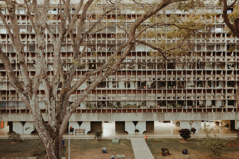 a building with many windows