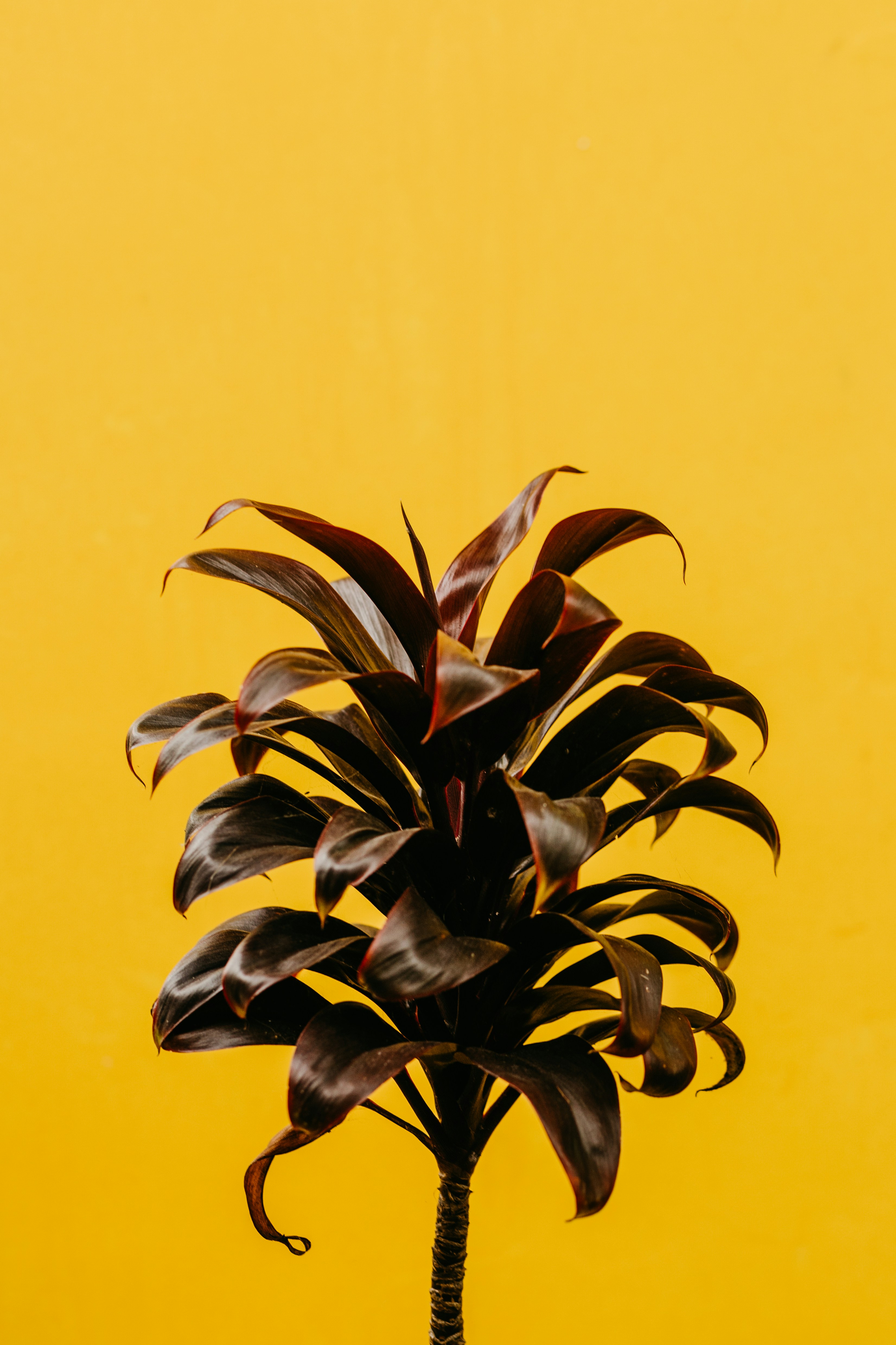 Dirty Dancing sequel release date announced