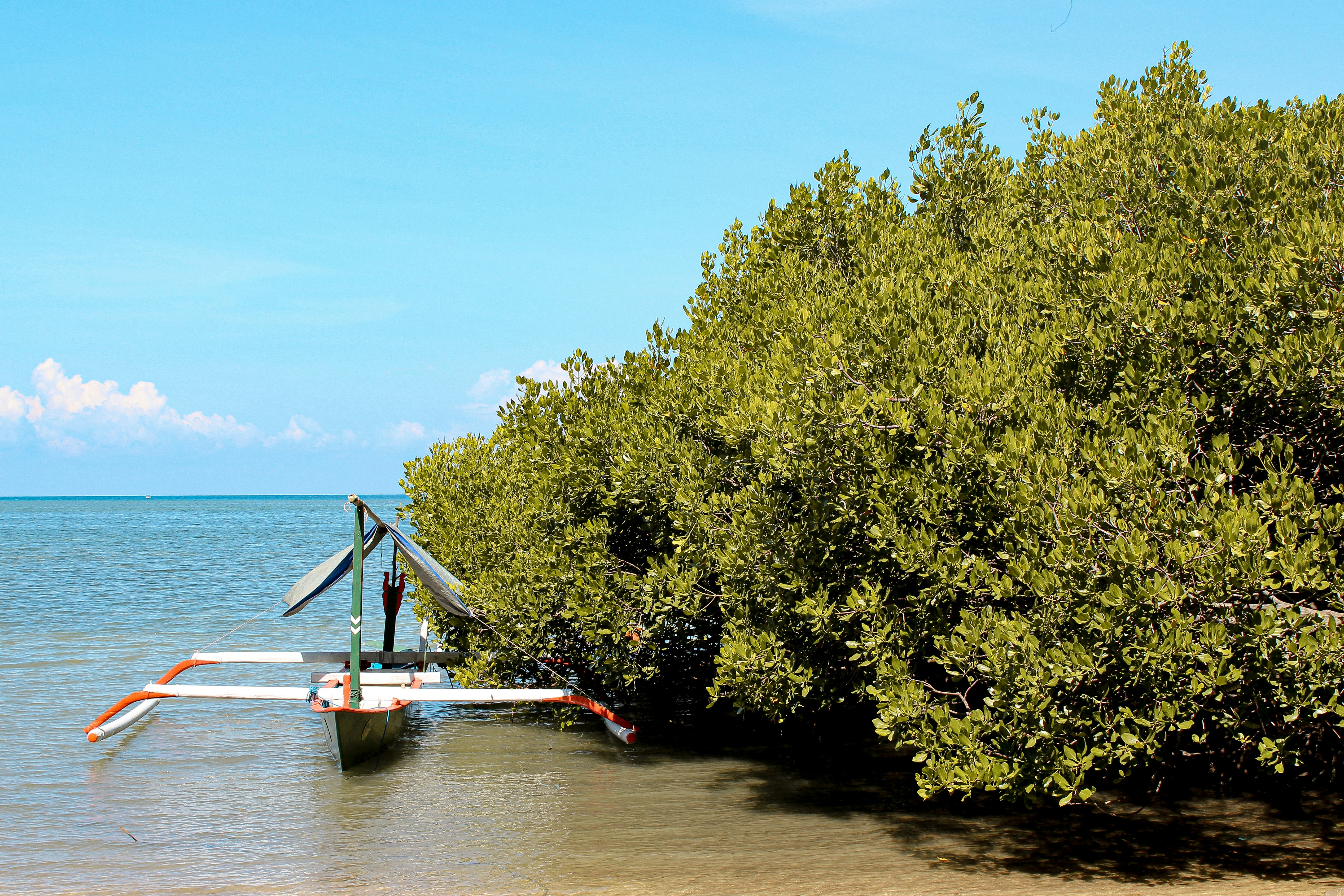 Photo by wahyutrianto