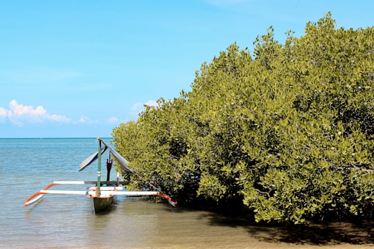 Baluran National Park things to do in Banyuwangi Regency