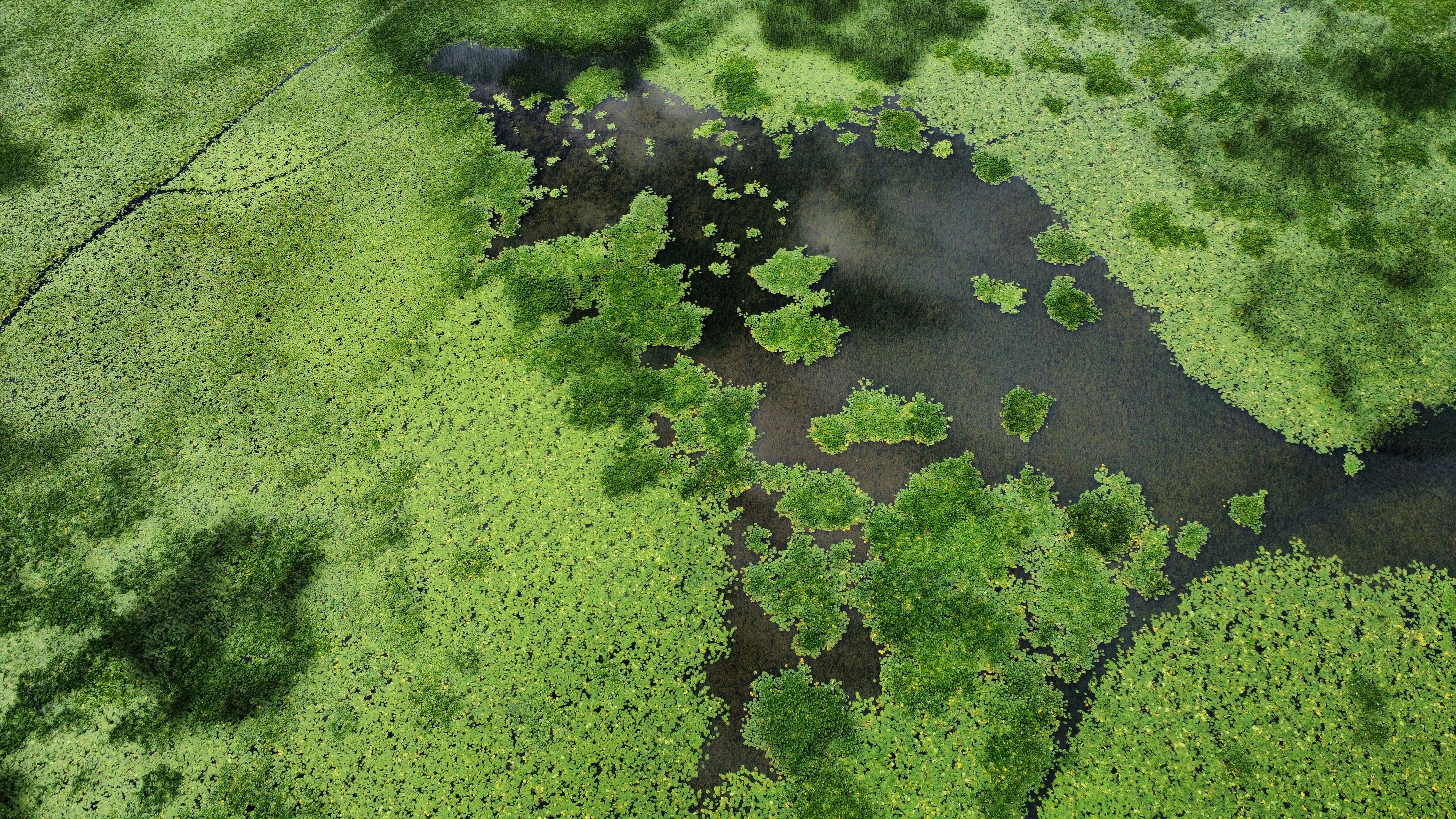 Photo by xhulioselenica