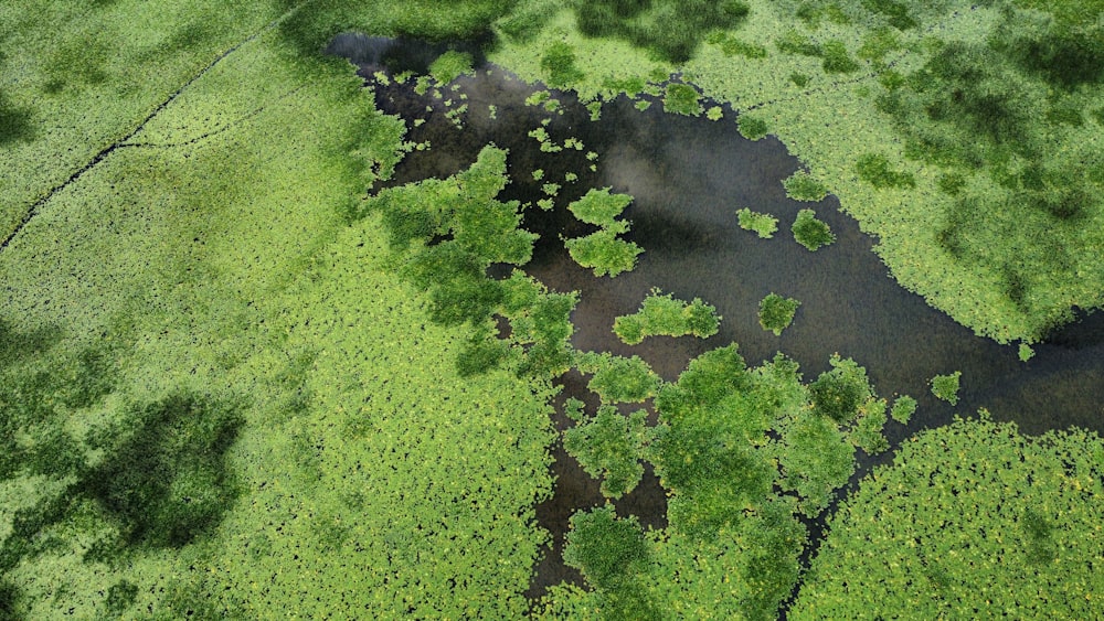 a large green landscape