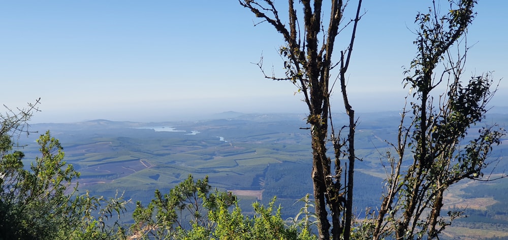 a view of a city from a hill