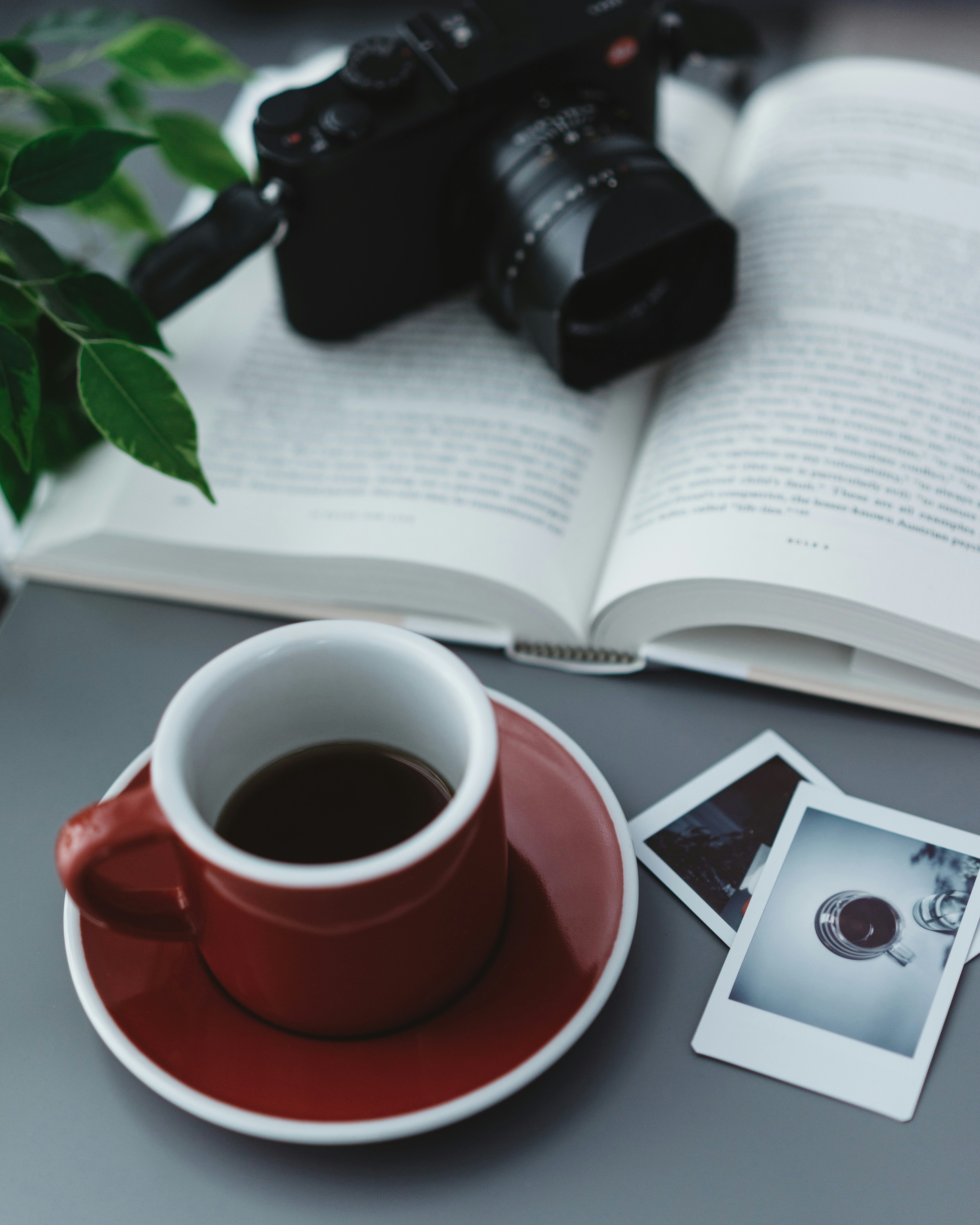 Photo by pixelpeeper