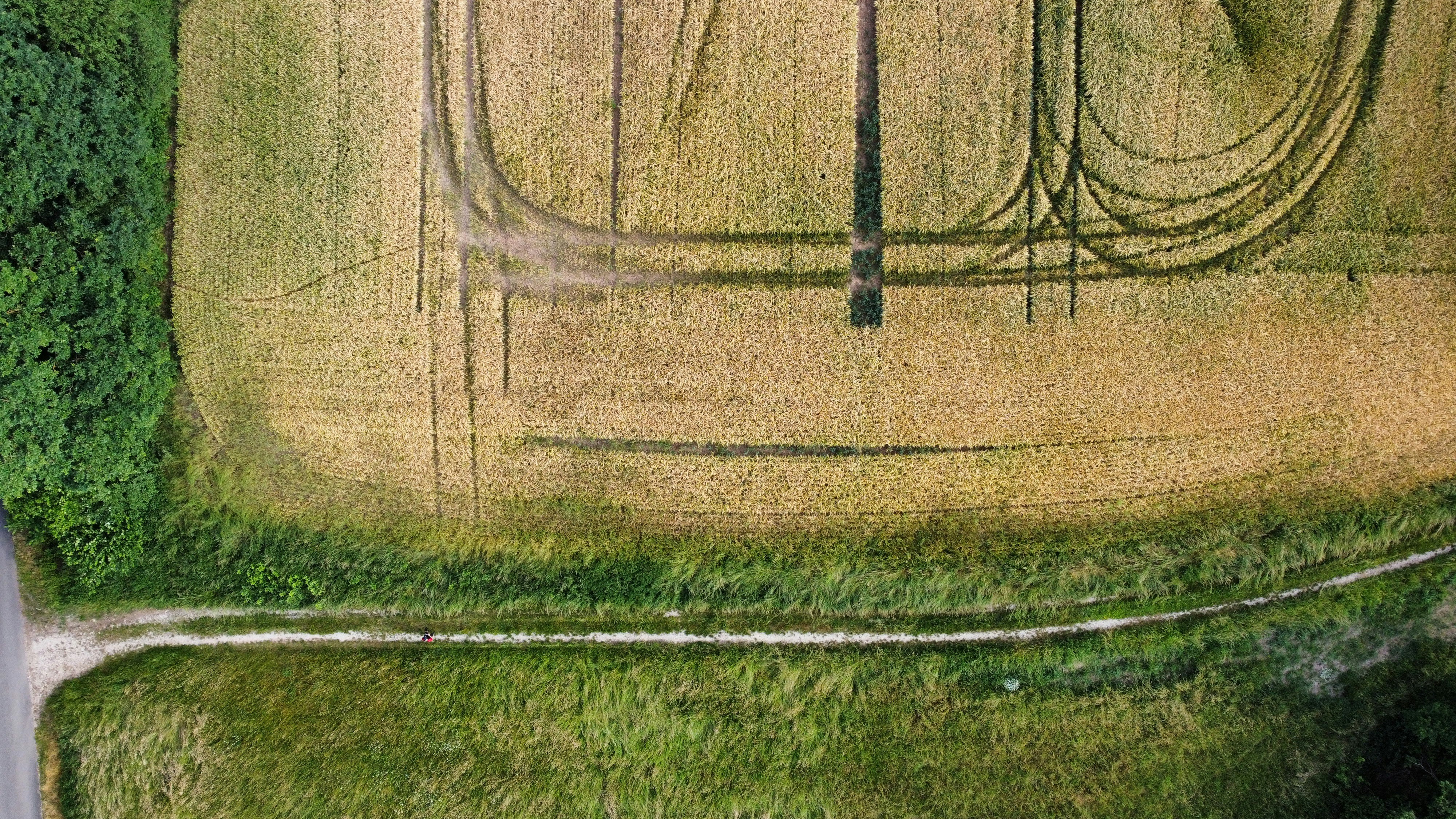 Crop field using our fertilizers