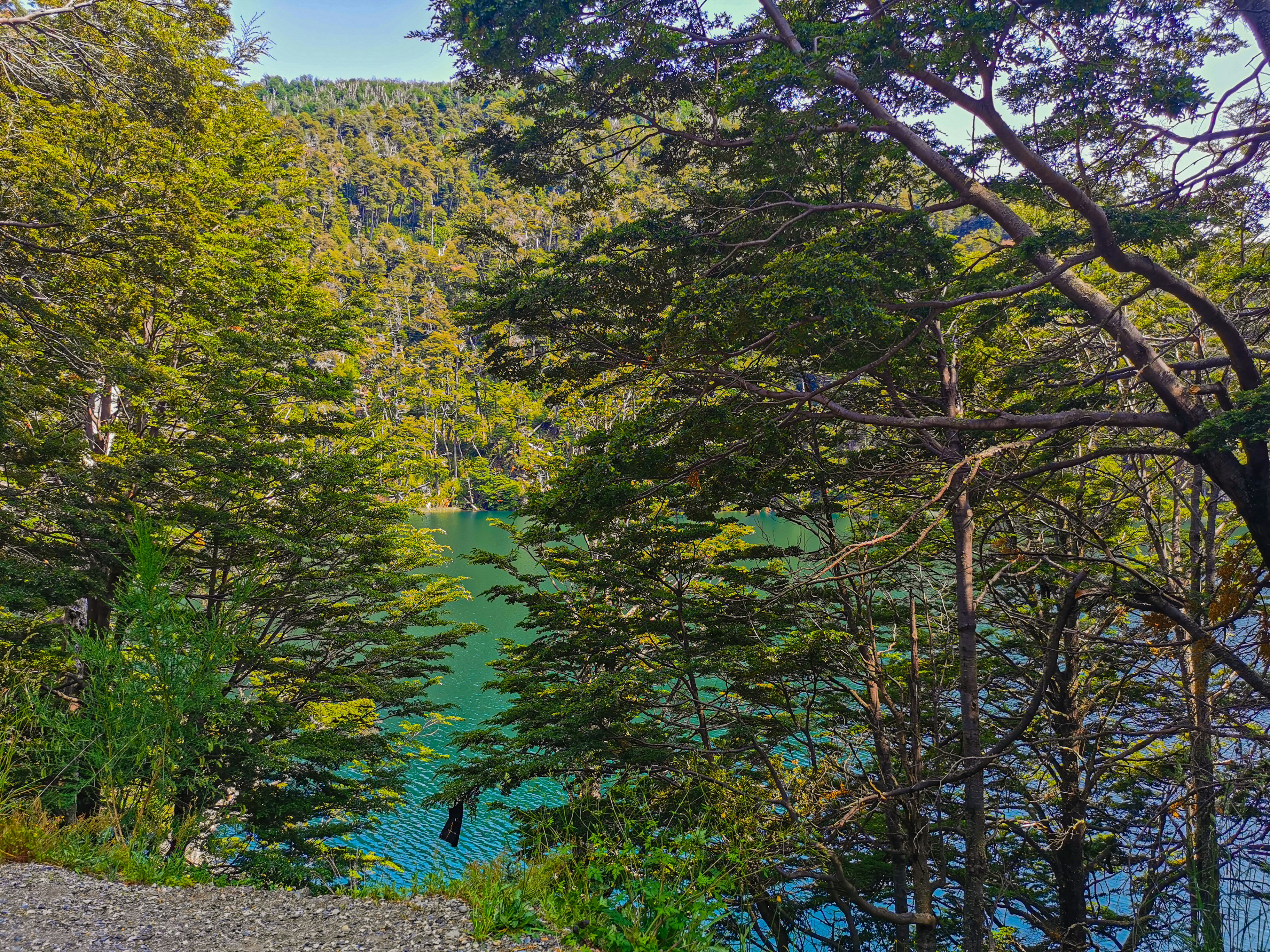 South Scalp Creek Lakeside Use Area