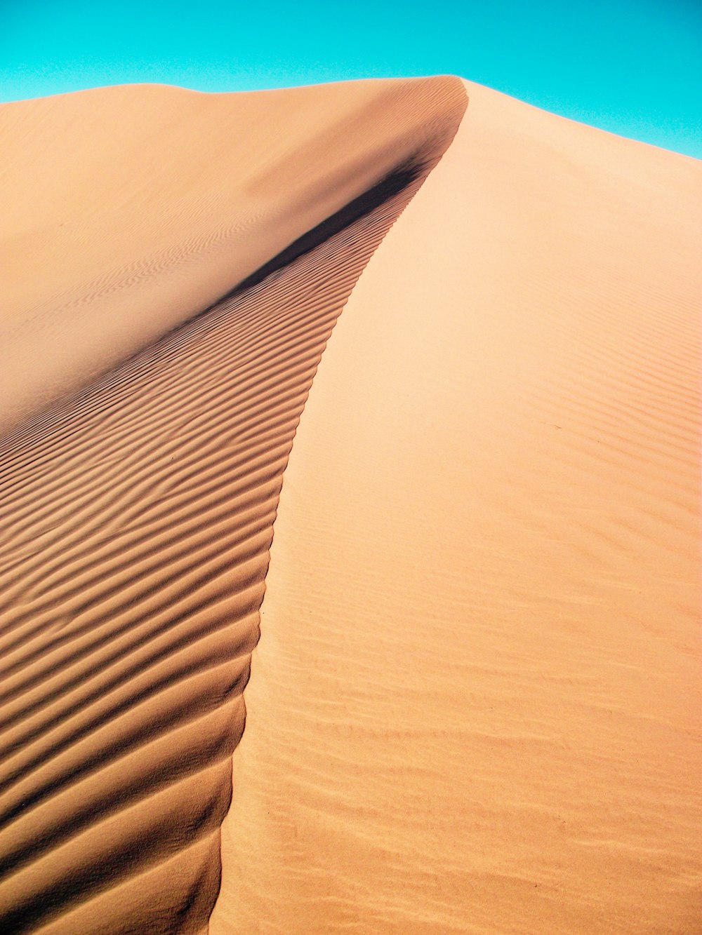 a close-up of a sand dune