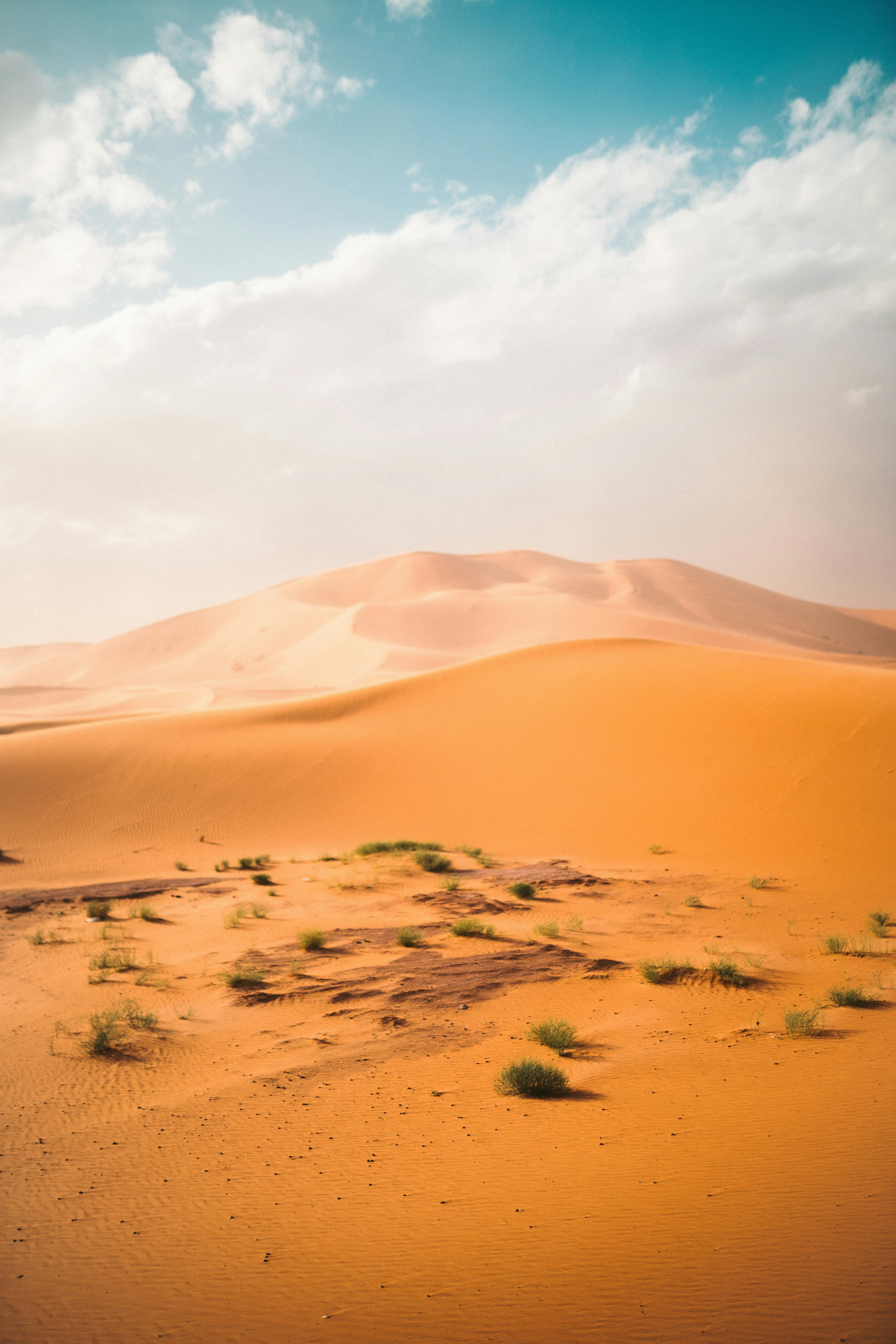 Photo by aryea_flohr