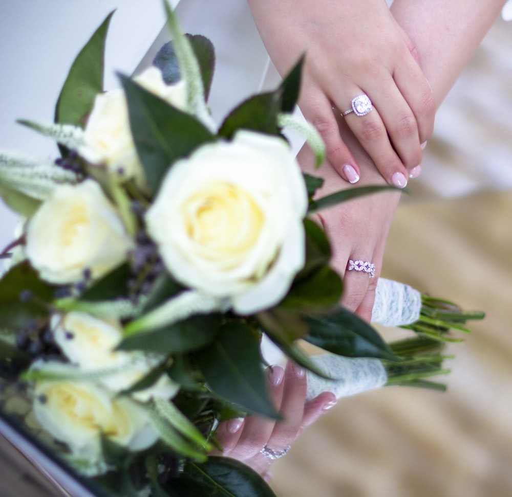 a person holding a white rose