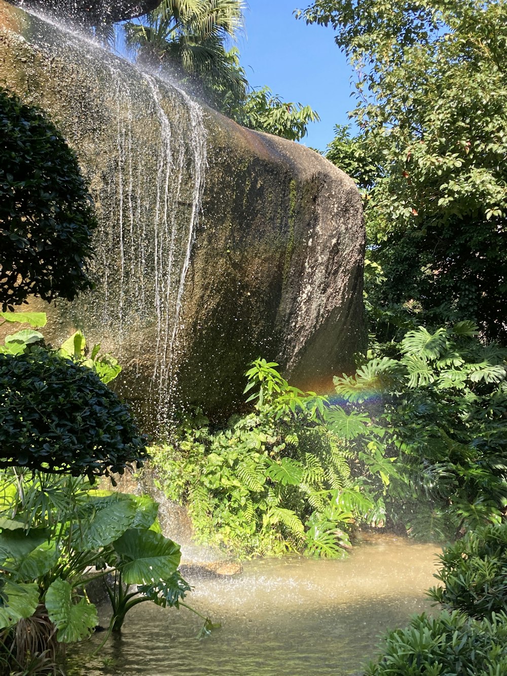 a waterfall in a forest