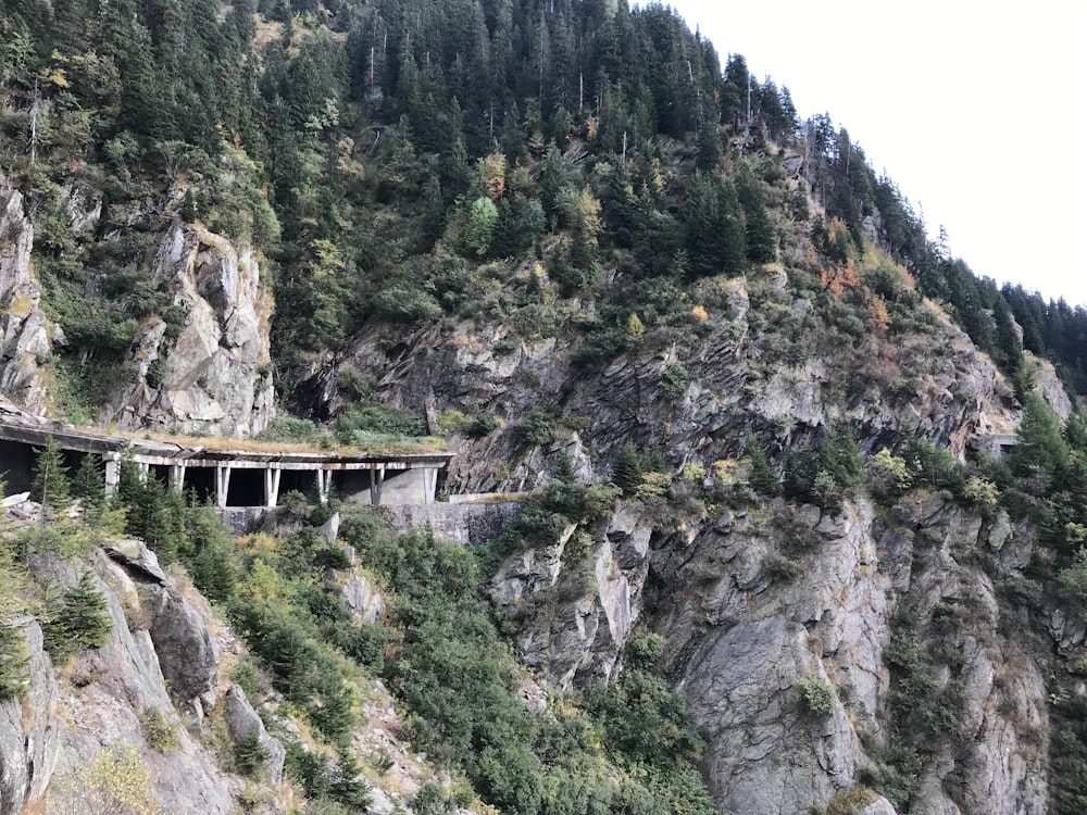 a bridge over a rocky cliff